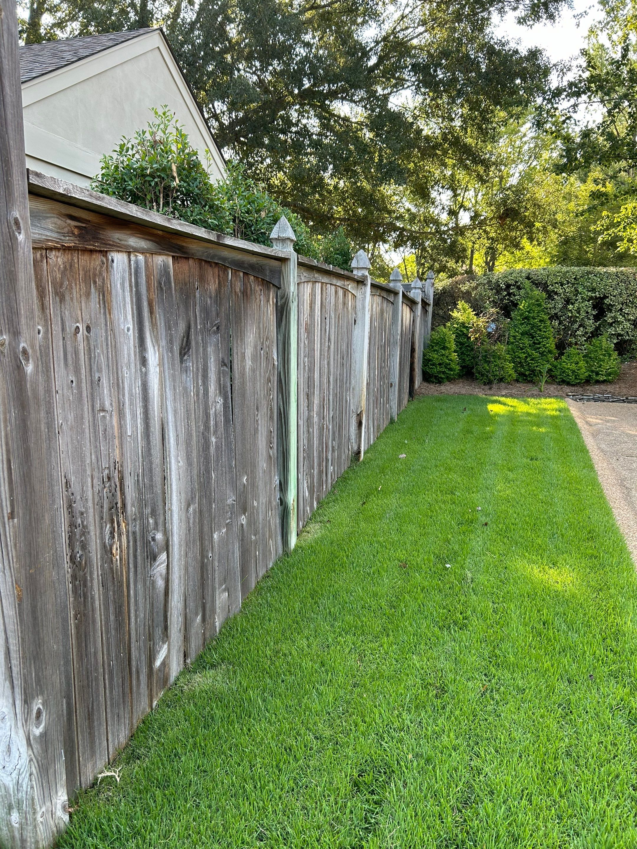 6’ Cedar Good Neighbor 6x6 Posts by Roberson Construction LLC