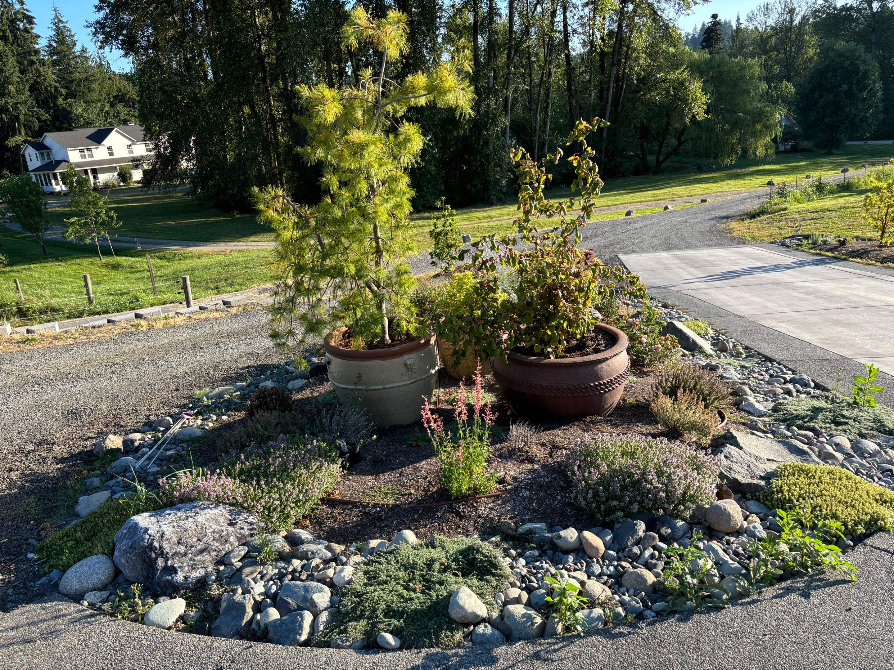 Project by Pacific Pine Landscape by Pacific Pine Landscape