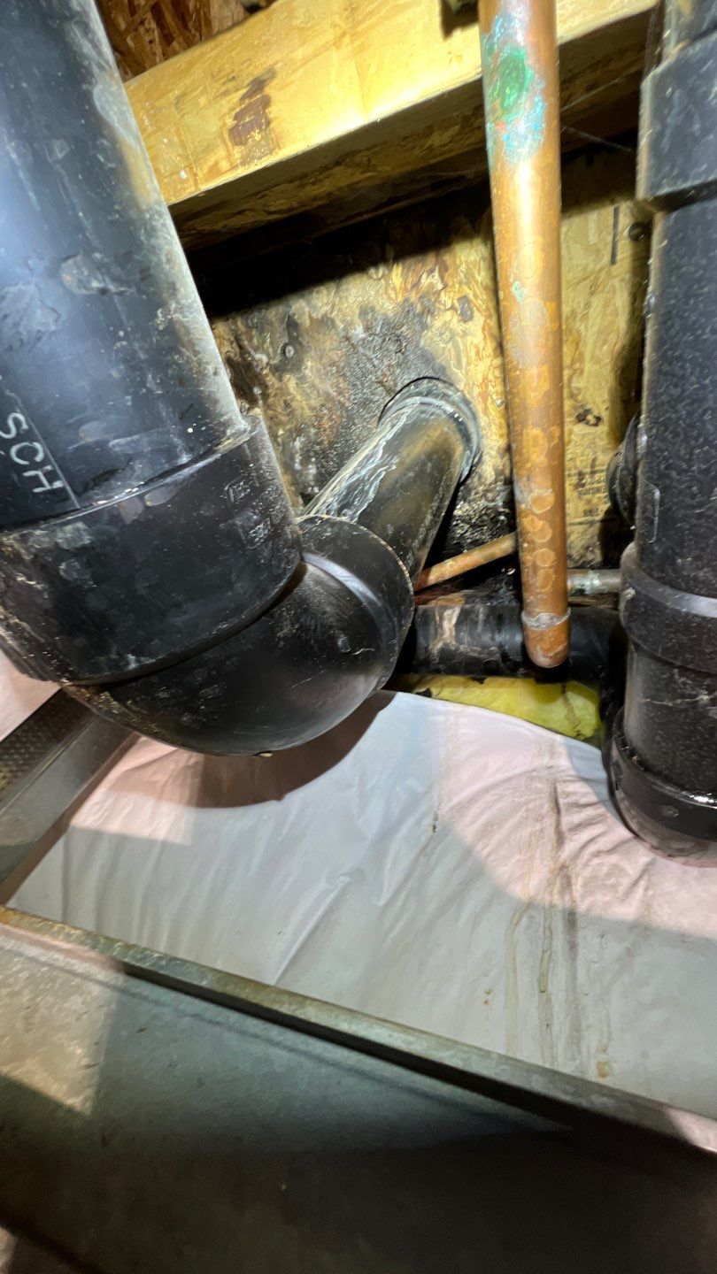 Mold Remediation by Accountable Home Services