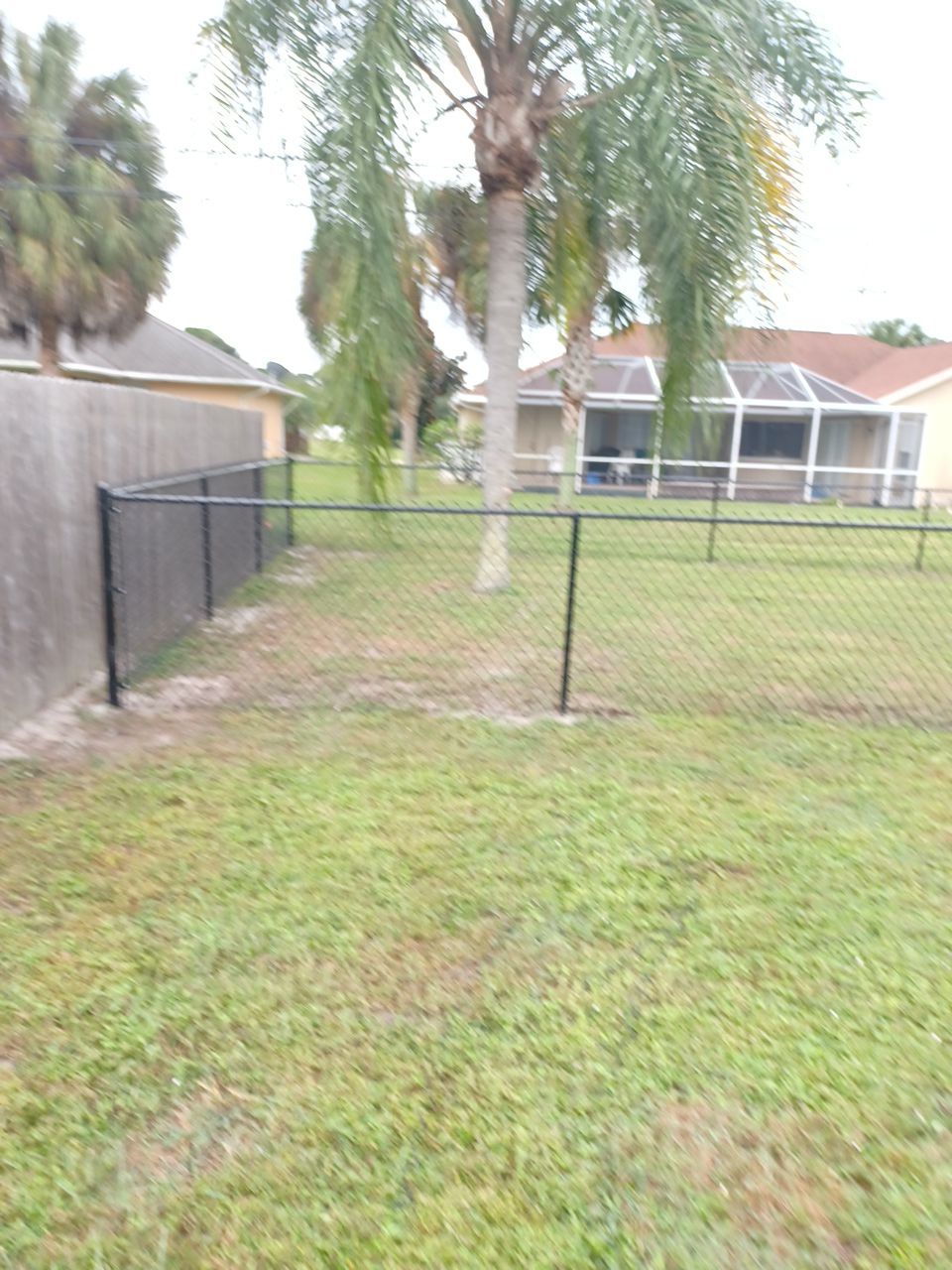 North Port, FL 4 ft. Tall Black Chain-link Fence by Asap fence and gates, LLC
