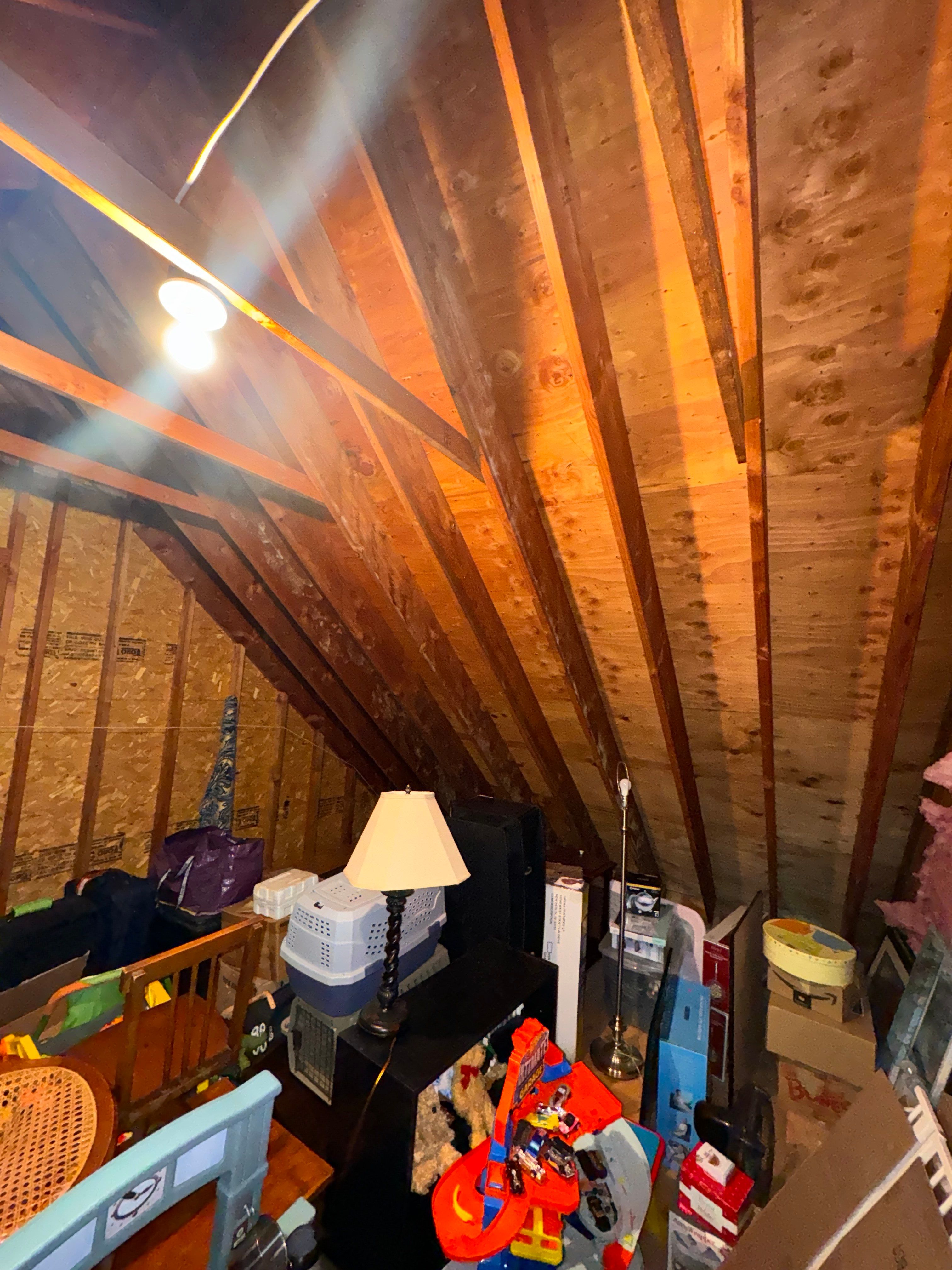 Interior French Drain With Radon Seal & Mold Remediation in Wall Township by Pure Service Pro, LLC 