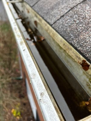 Turtle Shell gutter protection installation in Aurora, IL 60502, photograph 5