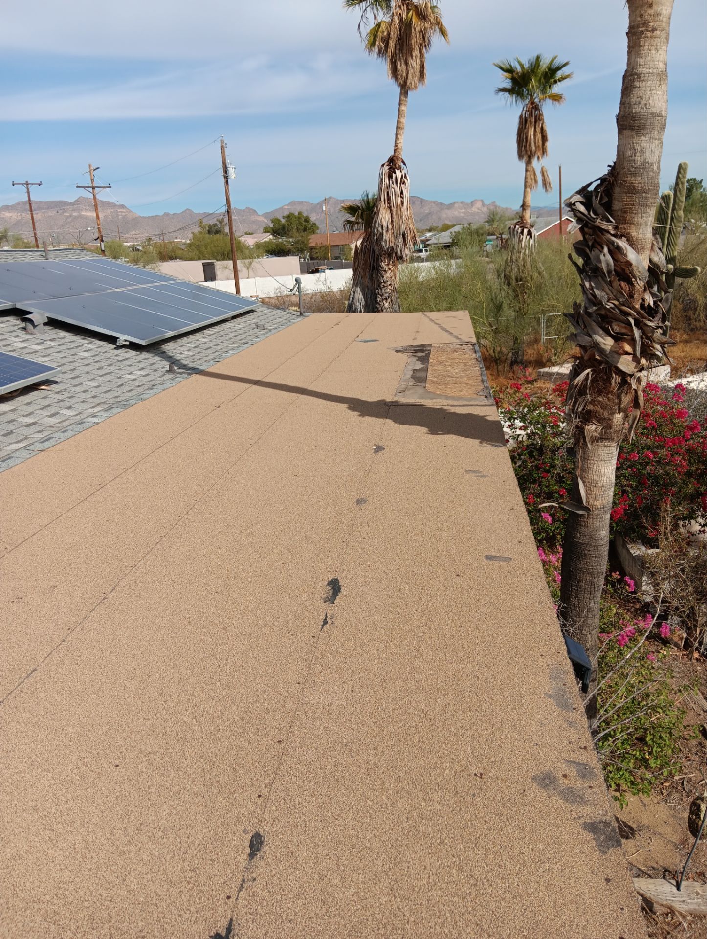 Desert Tan Shingles by Reimagine Roofing