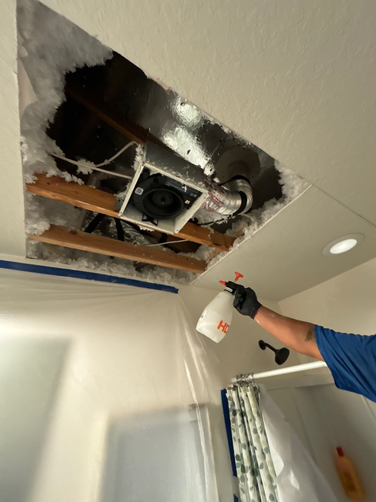 Palmetto Mold Removal & Repair by Ampm Restoration Services