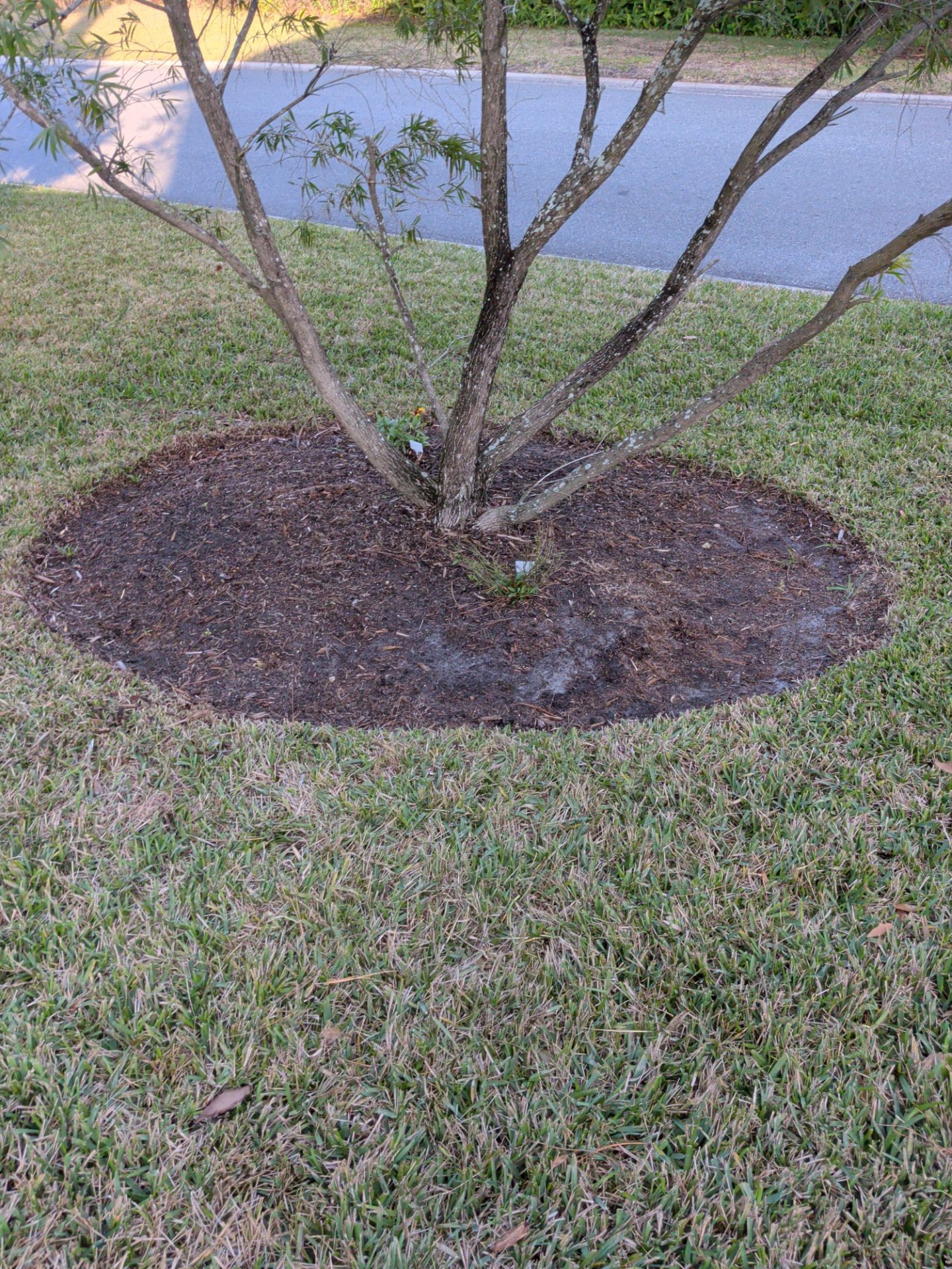 Flower Bed Cleanup & Mulch Preparation — Jacksonville Beach by Harmoni Home Services