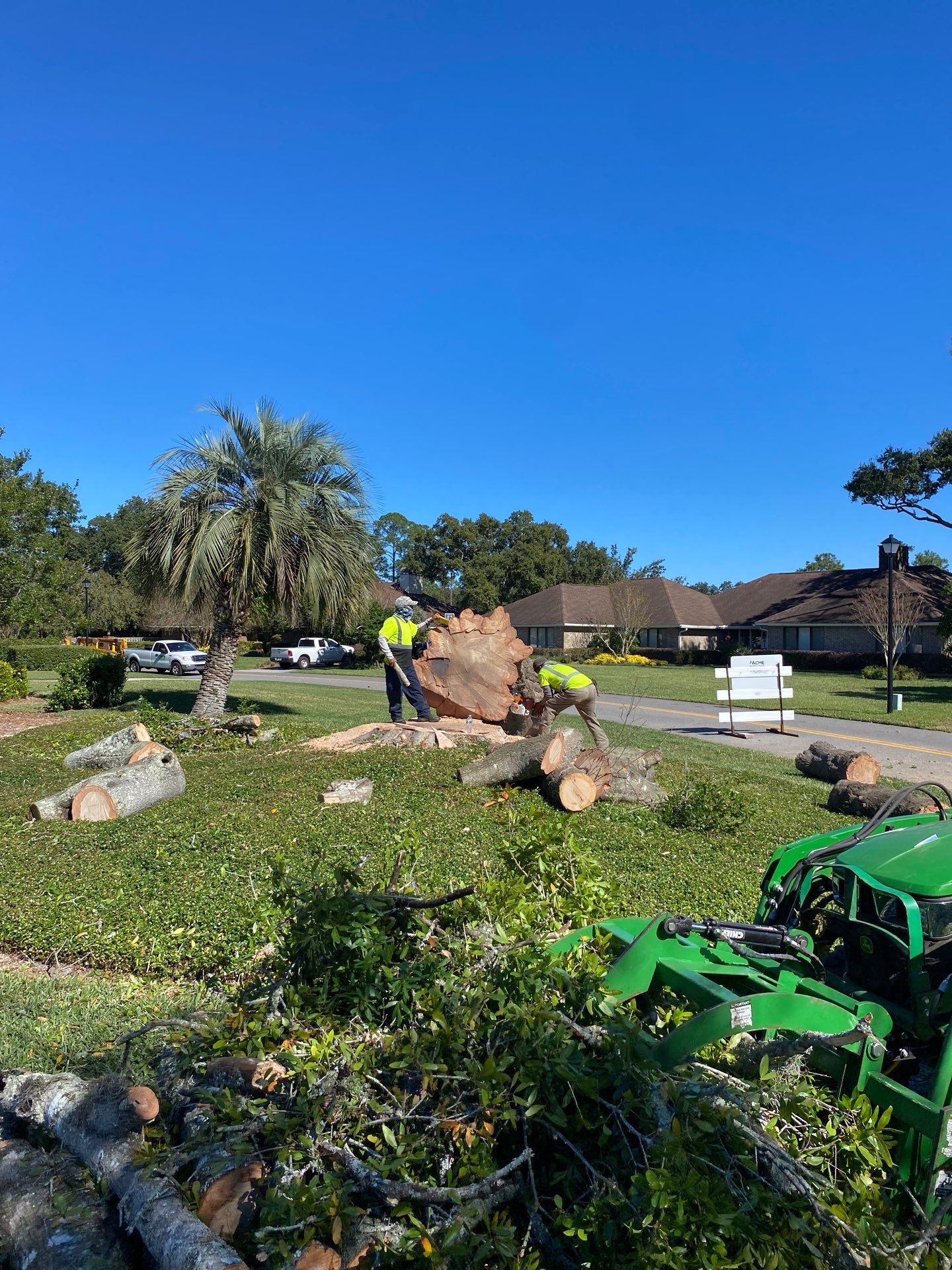 Deerwood Resident | Tree Removal & Stump Grinding by ProGreen Services