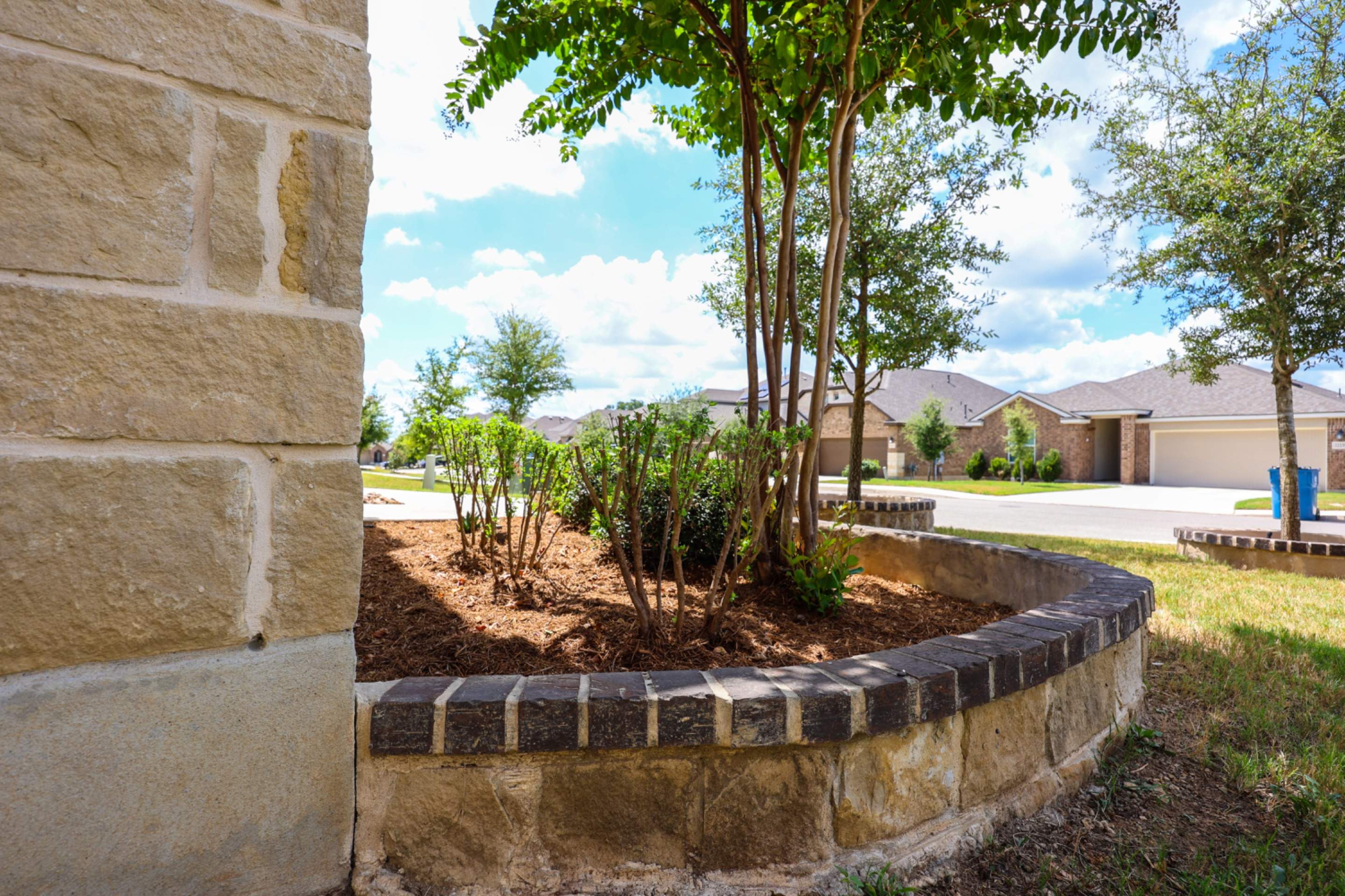 Wortham Oaks - San Antonio, TX by Hole In One Lawns, LLC