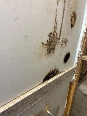 Sewage Backup Cleanup — Marco Island, FL