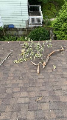 Turtle Shell gutter protection installation in Naperville, IL 60563, photograph 2
