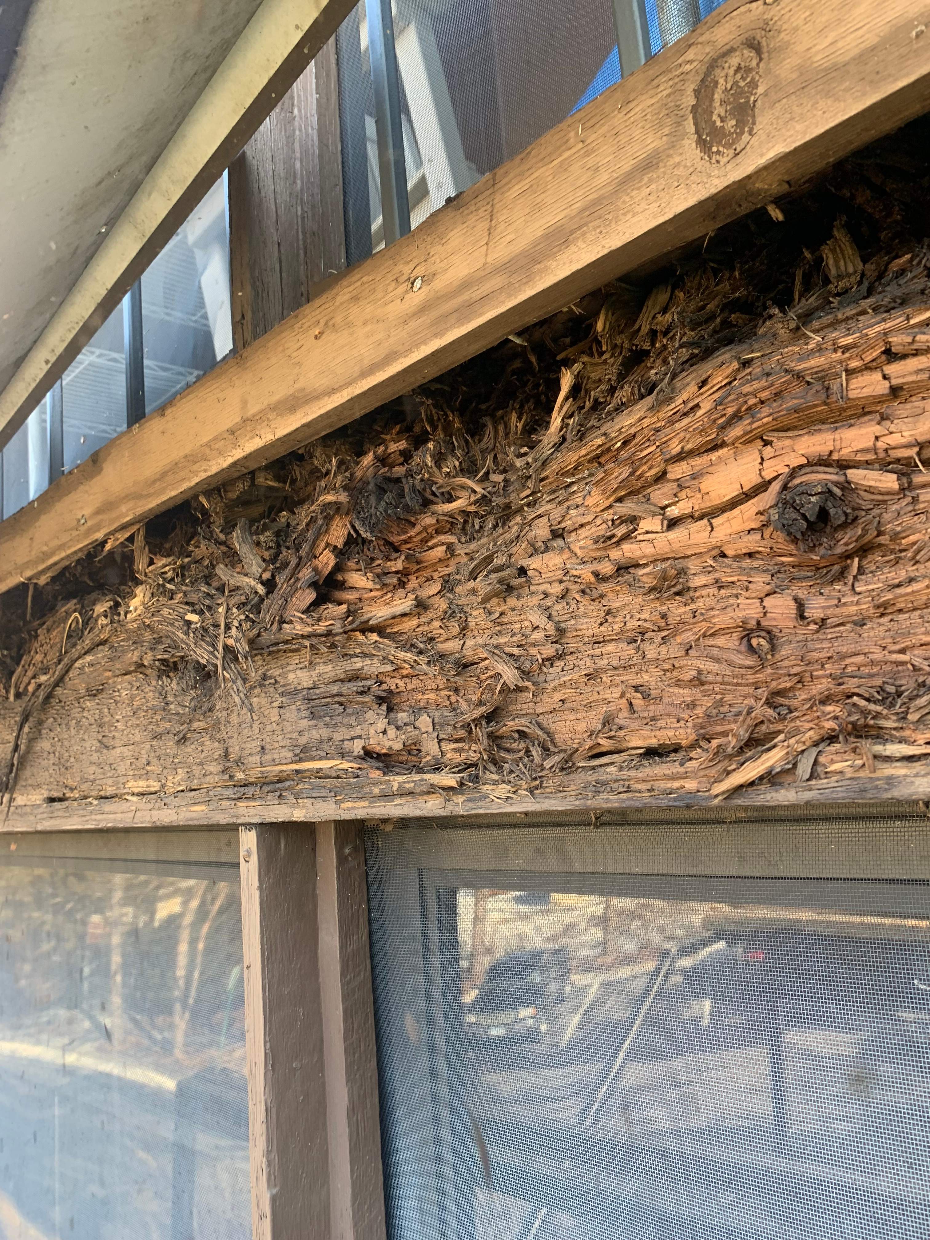 Decks and Porches - Bloomington, MN by Gassen Construction and Maintenance