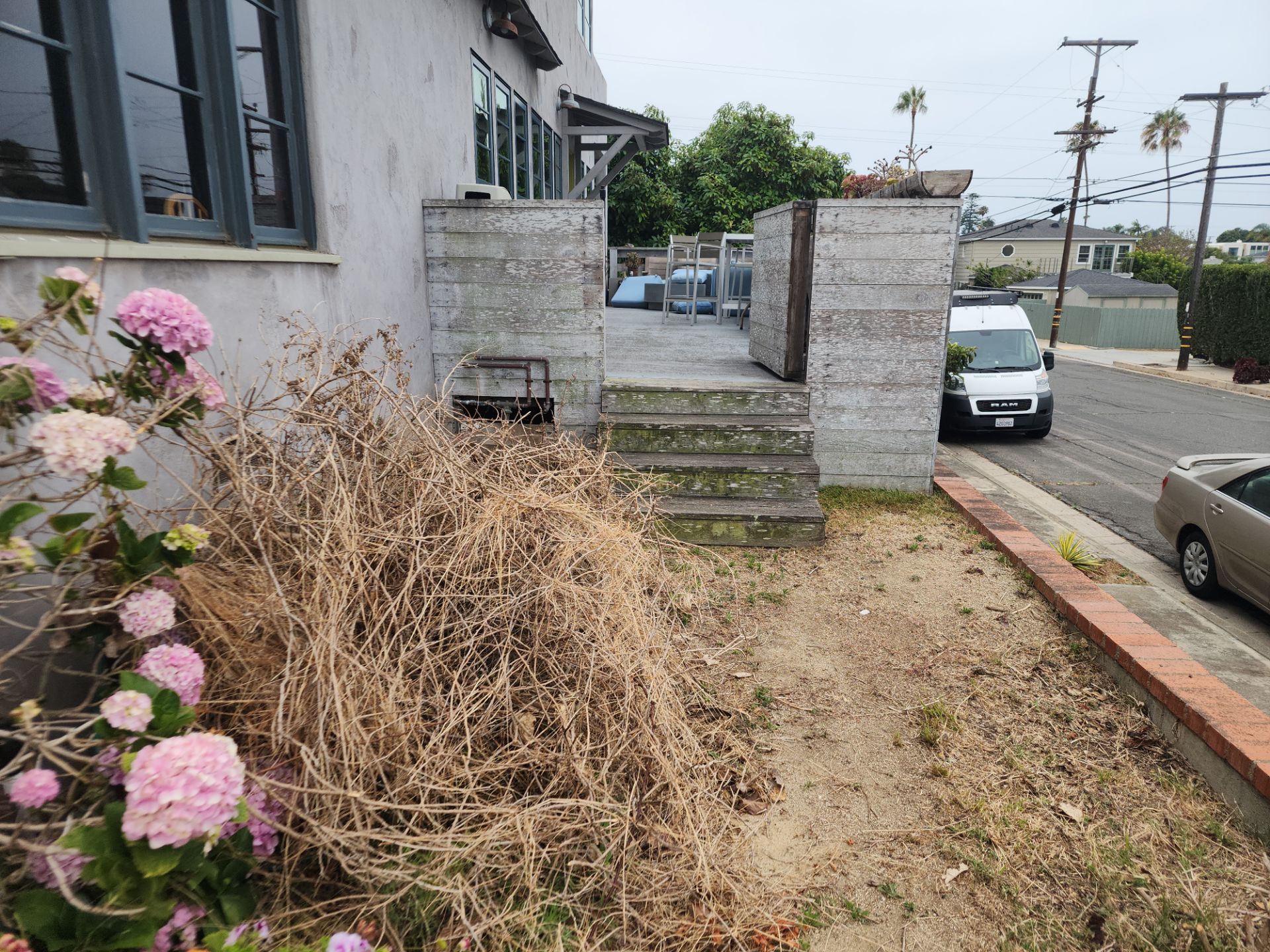 San Diego Landscape Clean Up by Yard Techs