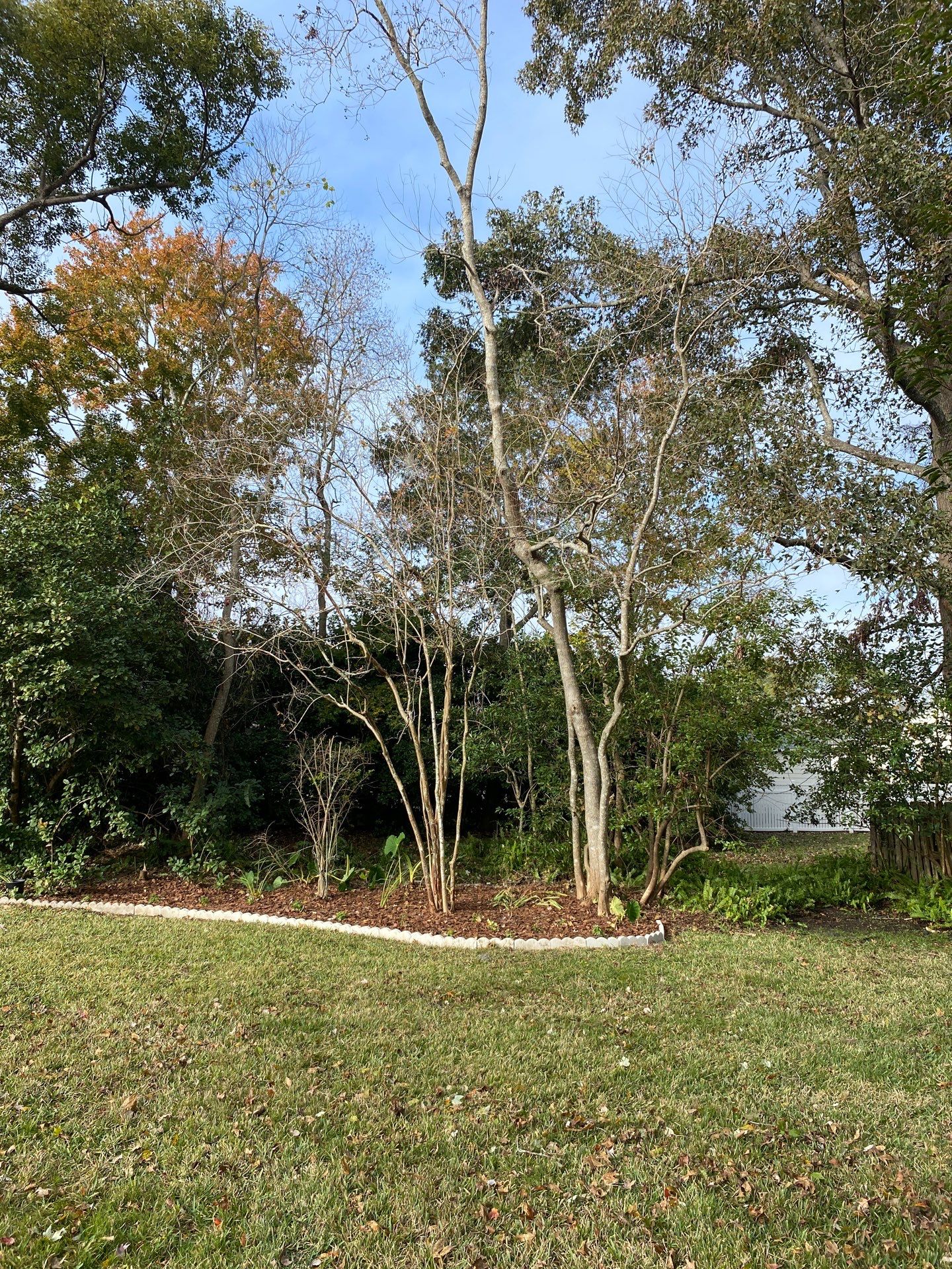 Deerwood | Tree Service by ProGreen Services