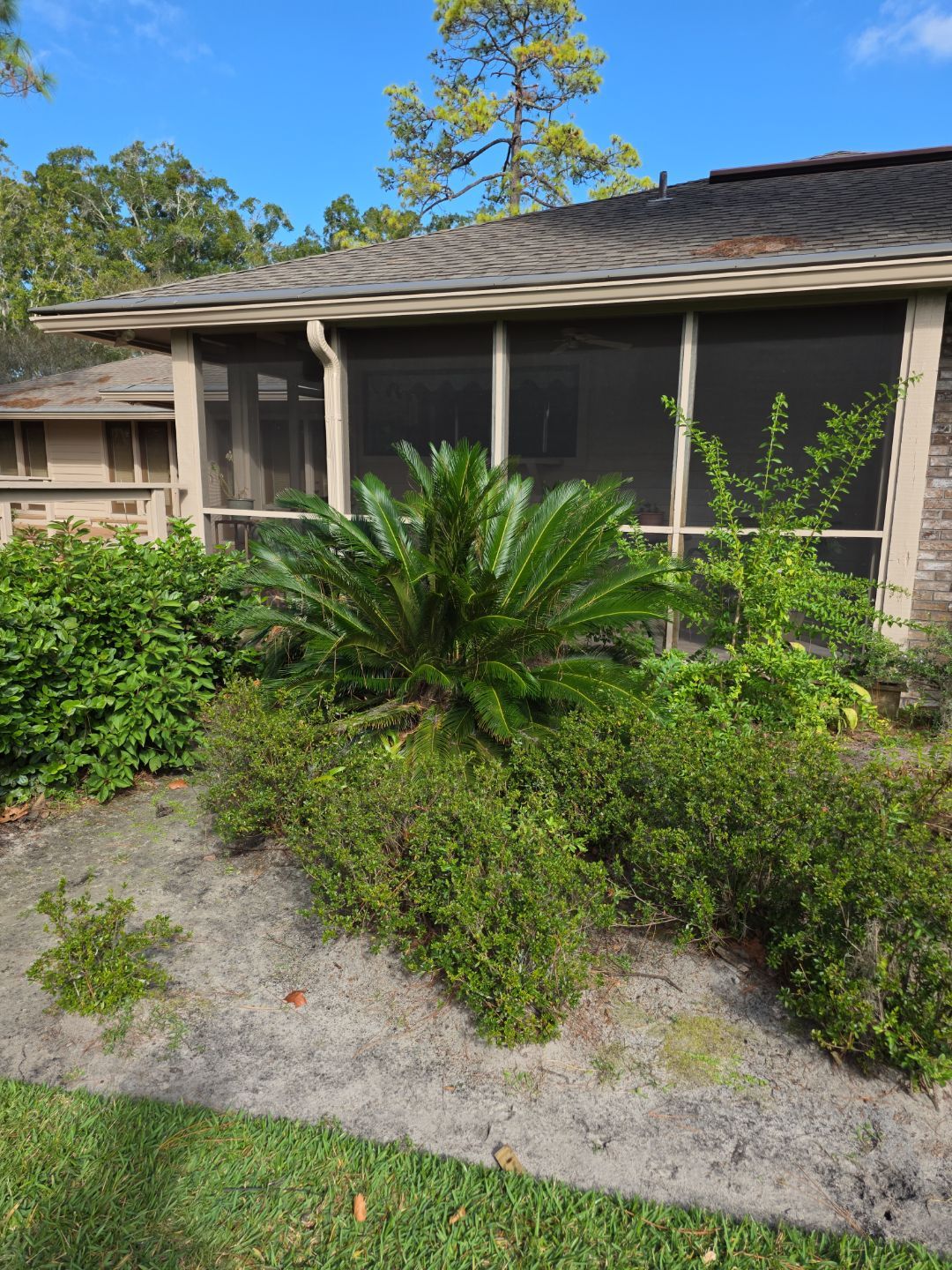 Deerwood Resident | Freshen Up Project by ProGreen Services