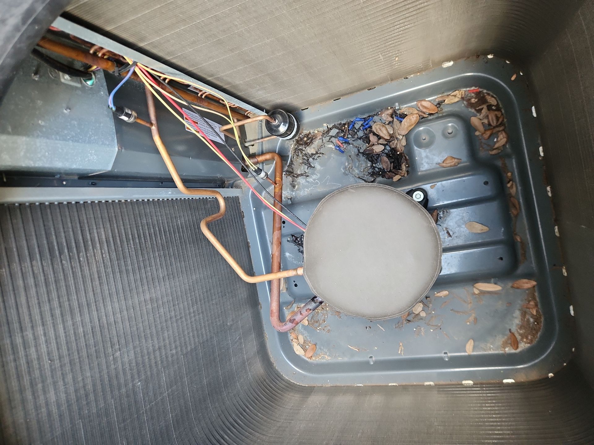 Residential HVAC Maintenance and Condenser Coil Cleaning in San Antonio by Premier Pros