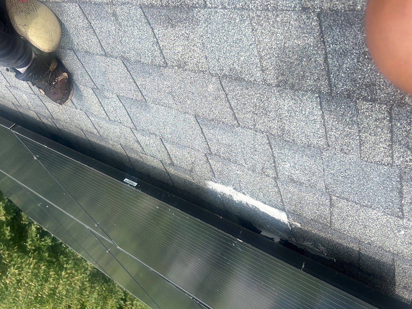 Silver Birch Shingles by Reimagine Roofing