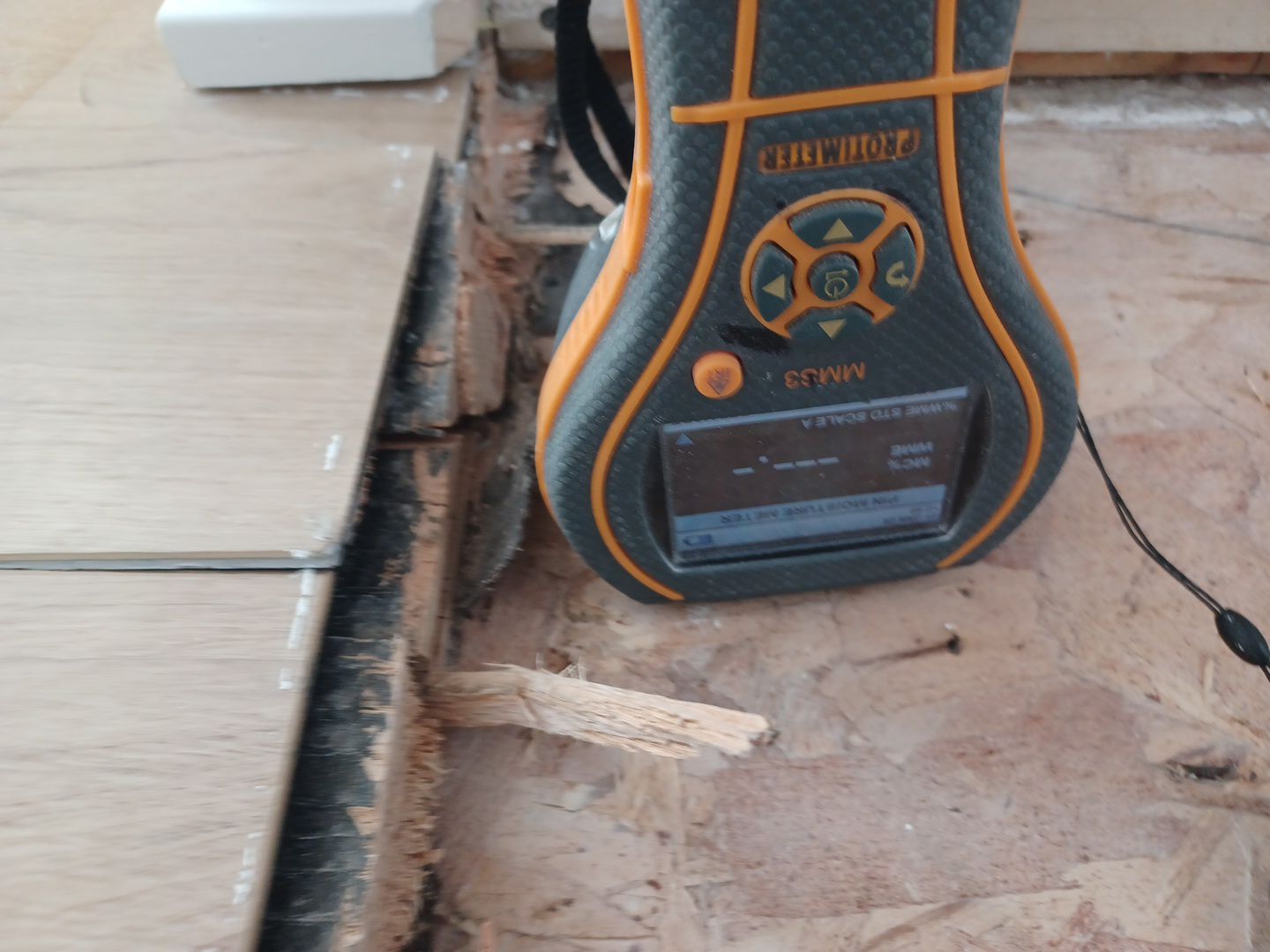 Project in Commerce Twp by EzDry Water Mitigation & Property Restoration