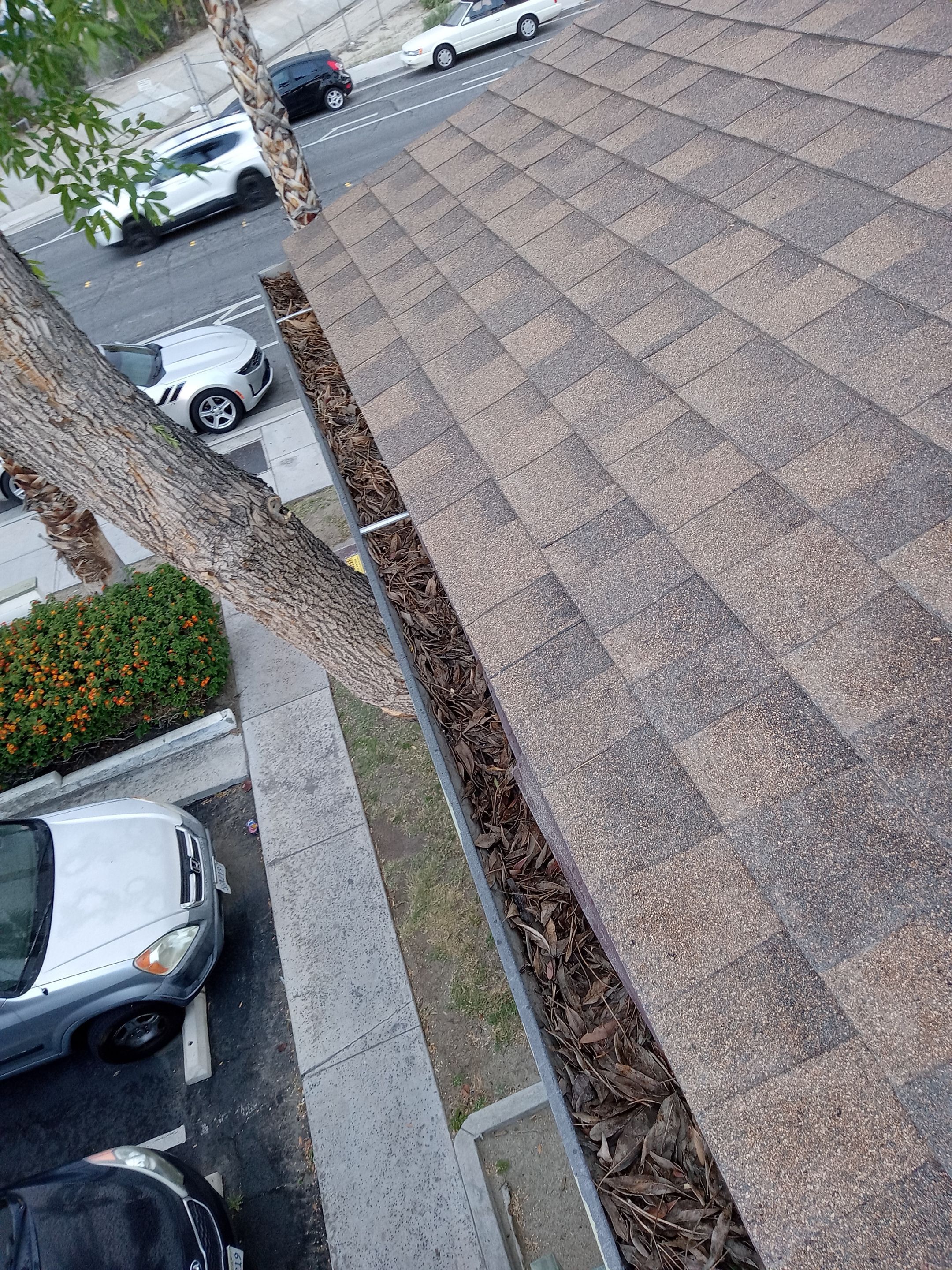 Commercial gutter cleaning Palm Springs & Coachella Valley, CA before photo with filled gutters