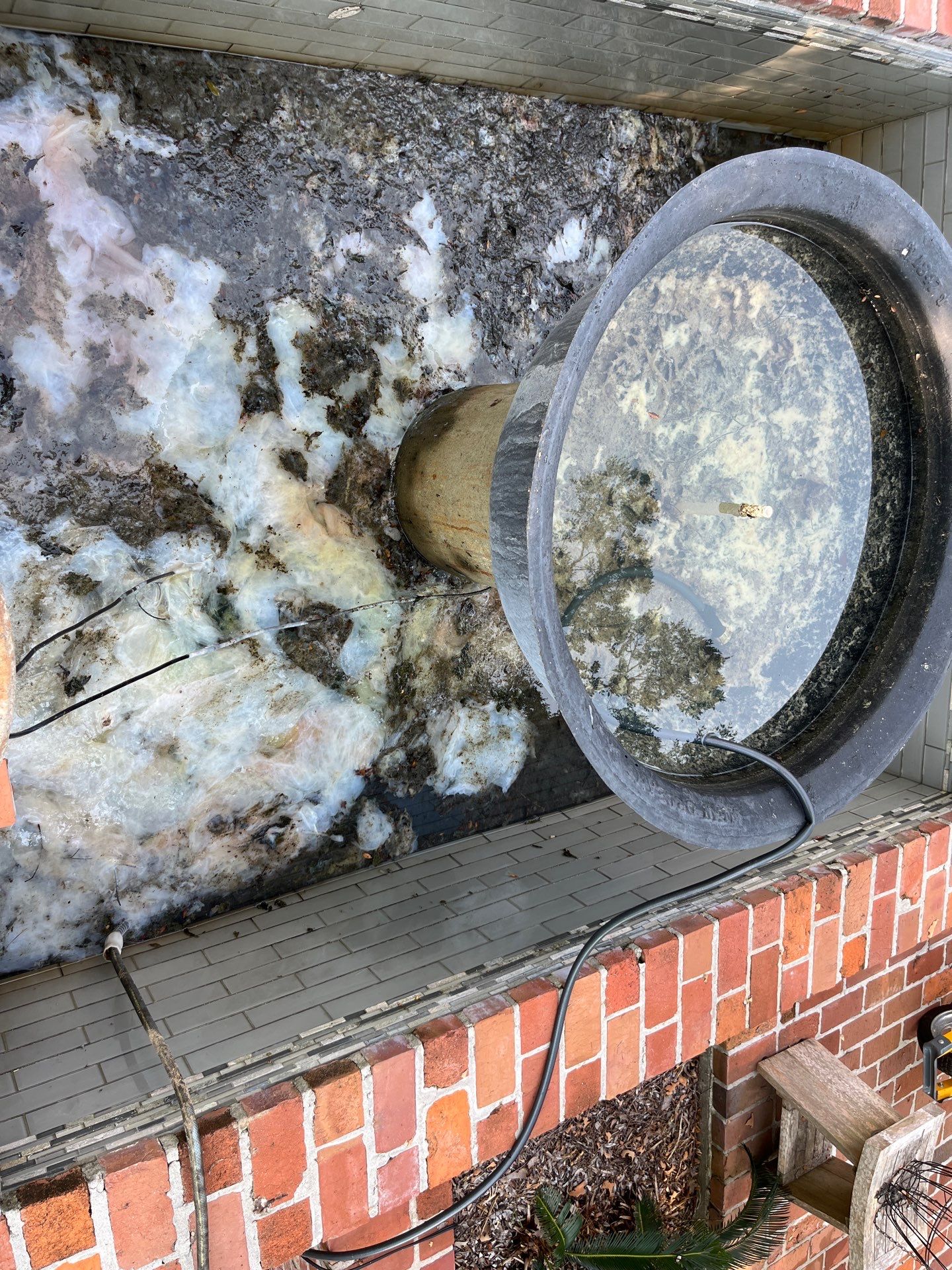 Pool Cleaning using Pool Cleaner by College Bros Outdoor services