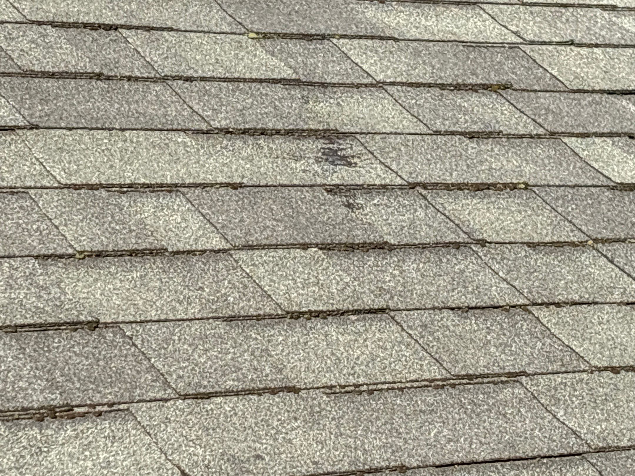 Roof Replacement using Owens Corning Chateau Green by 180 Contractors