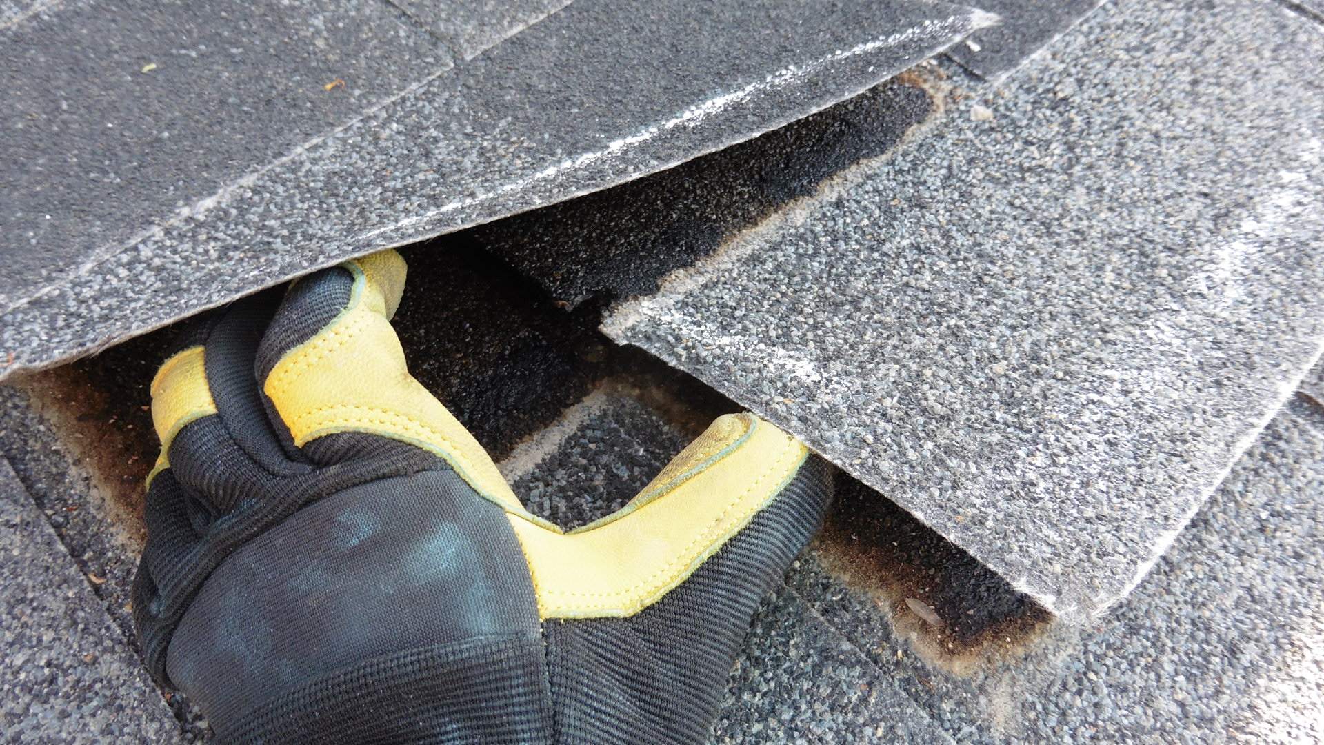 Interior Inspection by ASAP Roofing & Exteriors