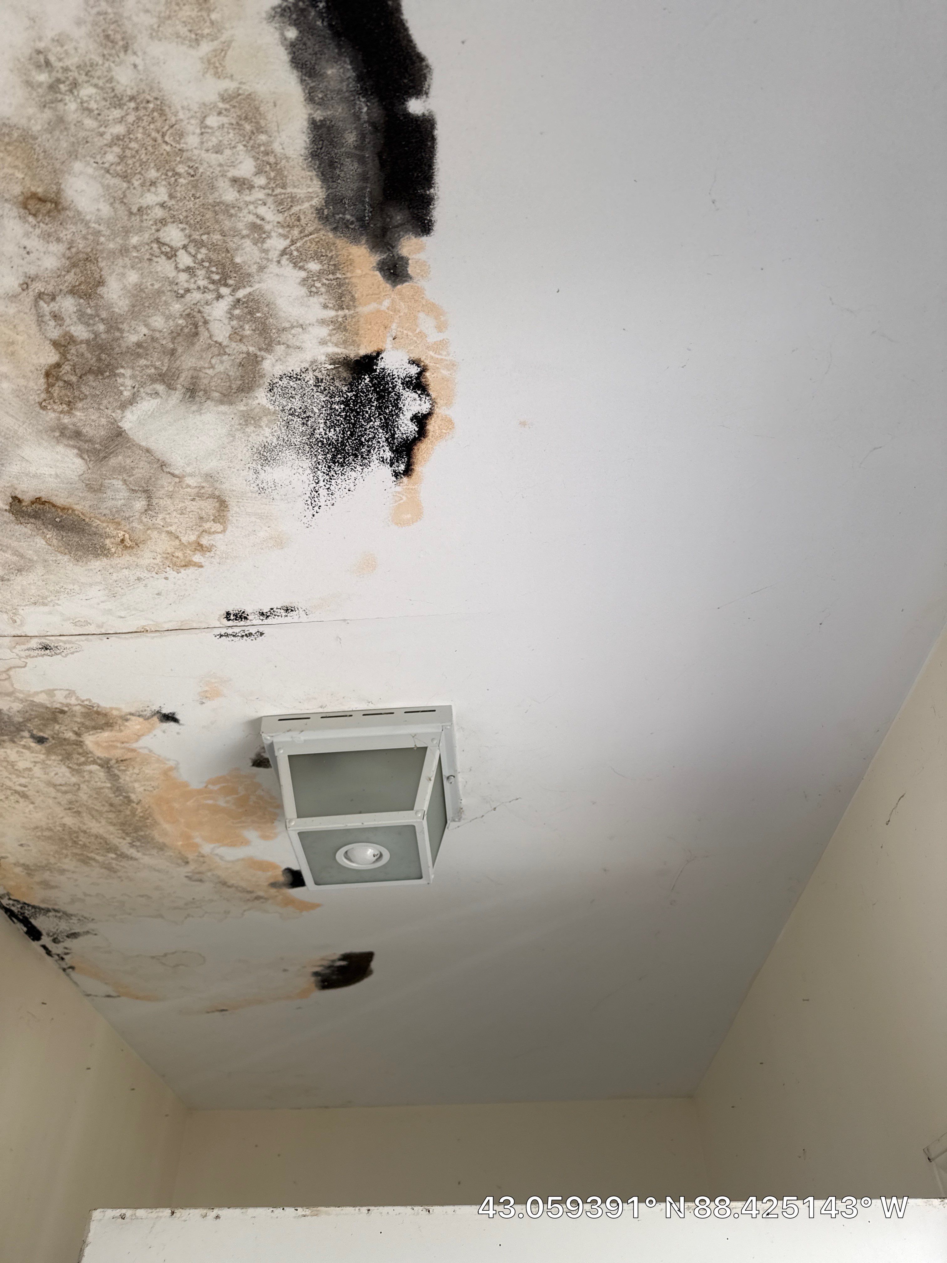 Mold Remediation for Delafield Residential Property by Dry Source Property Restoration