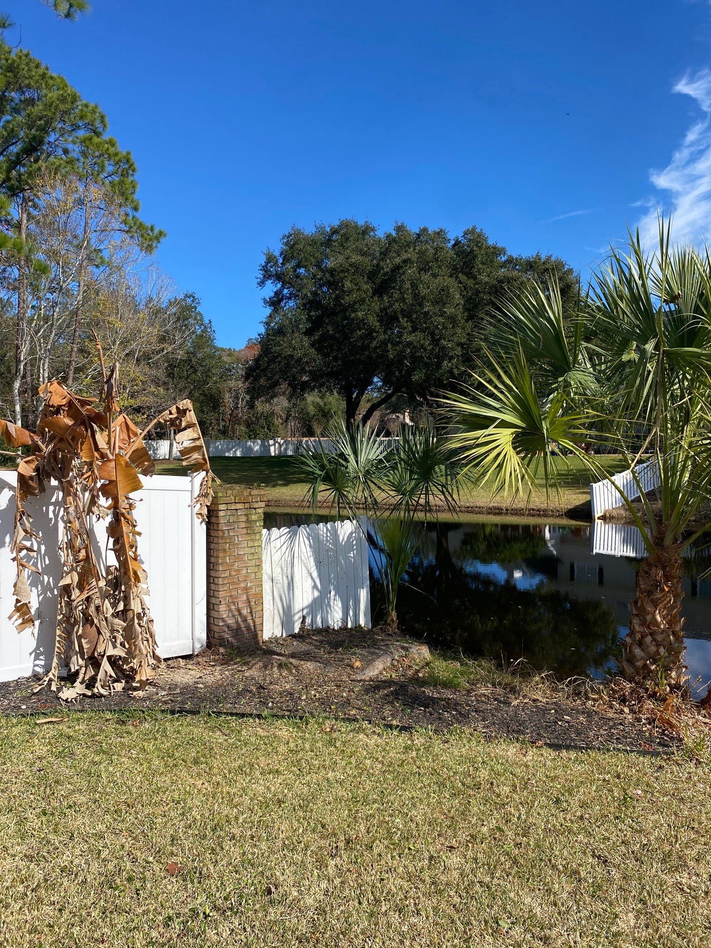 Deerwood Resident | Tree Removal by ProGreen Services