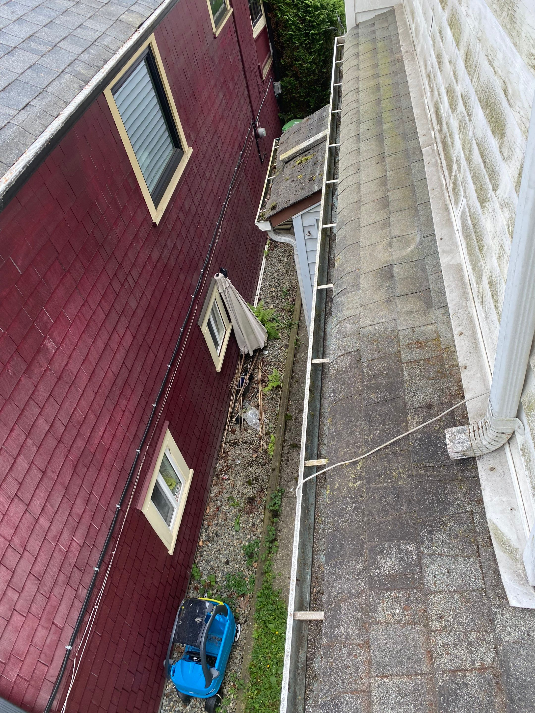 Soft Wash Shingles & Siding - Gutter Cleaning - Fascia Painting  by YVR Construction Group