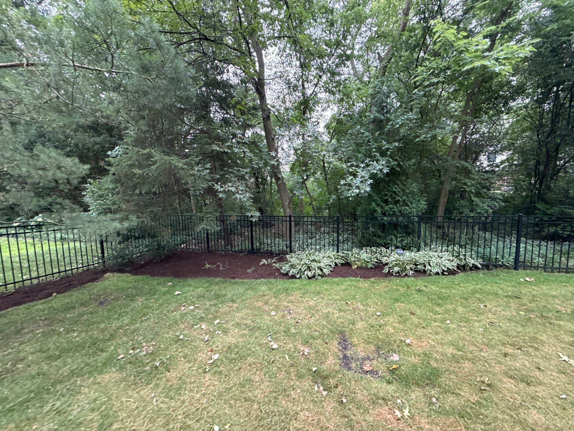 Christopher B. - Glenview, IL by A&N