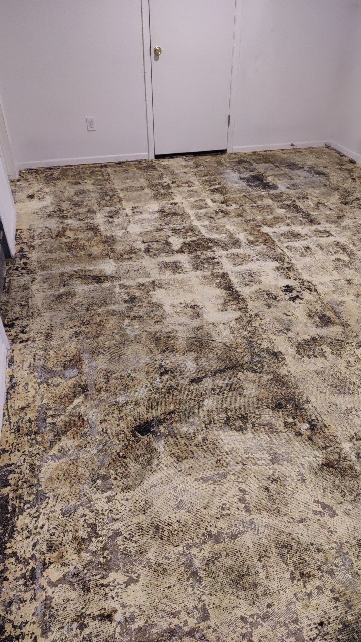 Water Damage by Accountable Home Services