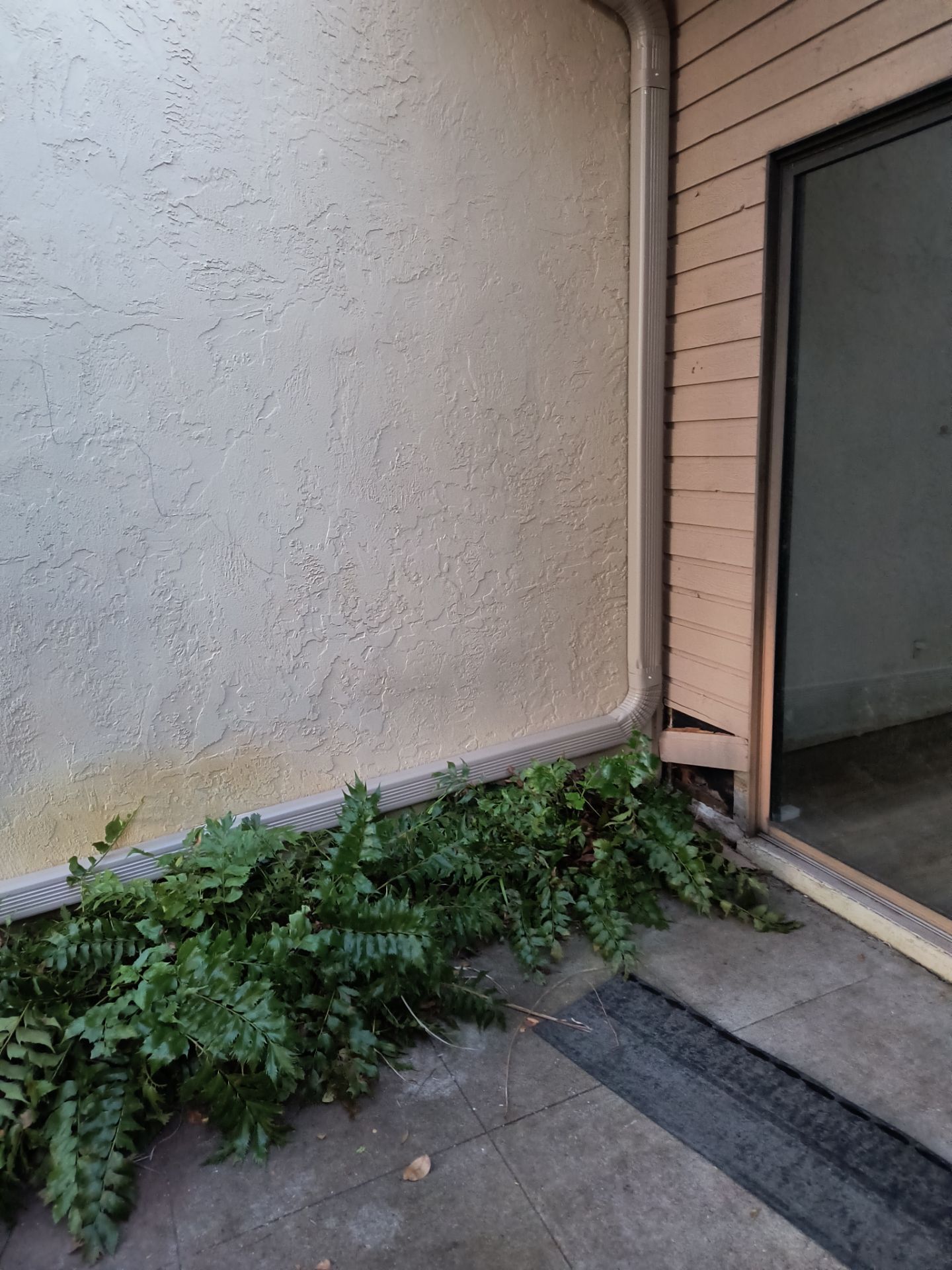 Seamless Gutter Installation in Sarasota FL by Gutter Professors