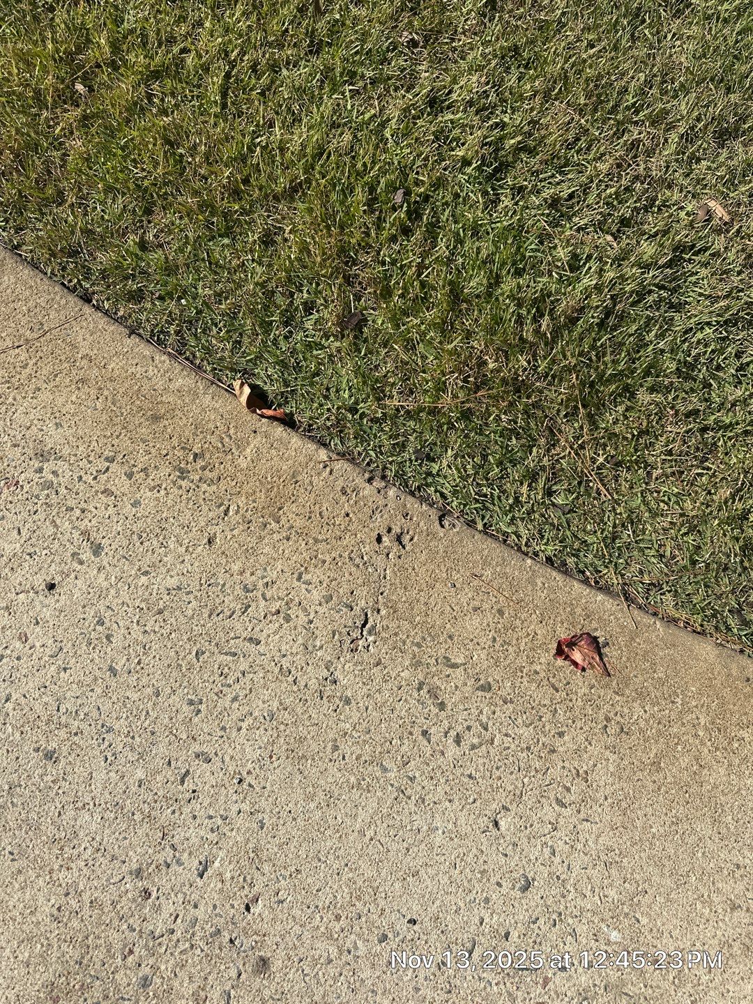 Concrete Driveway using TopSeal by DuraSeal