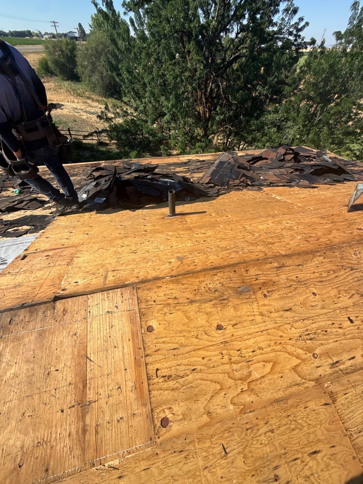 Full Residential Roof Replacement With Architectural Shingles In Fruitland Idaho by Olive Roofing