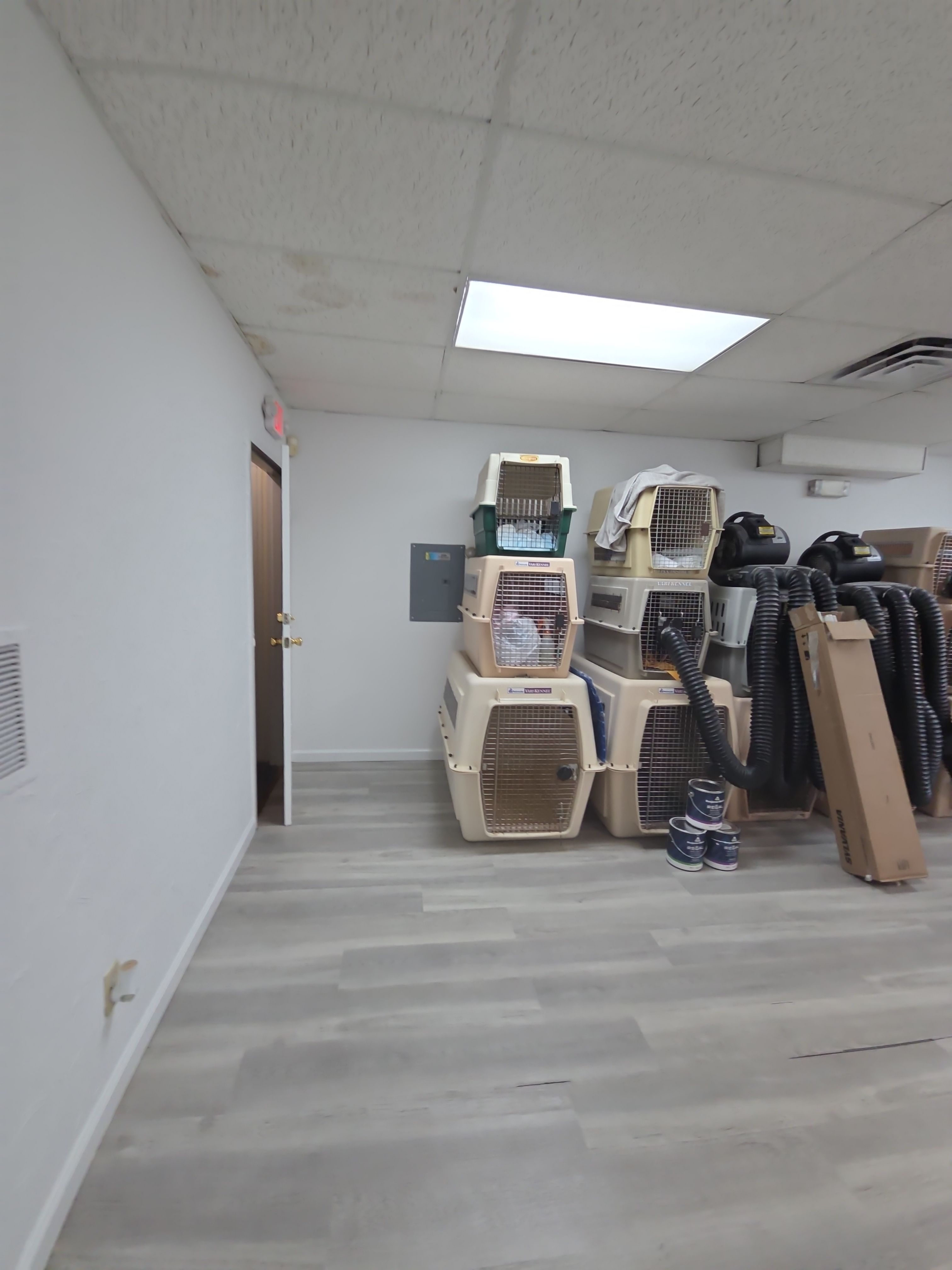 Commercial Interior Painting for Hillsdale Pet Grooming Facility by Spectrum Painting, LLC