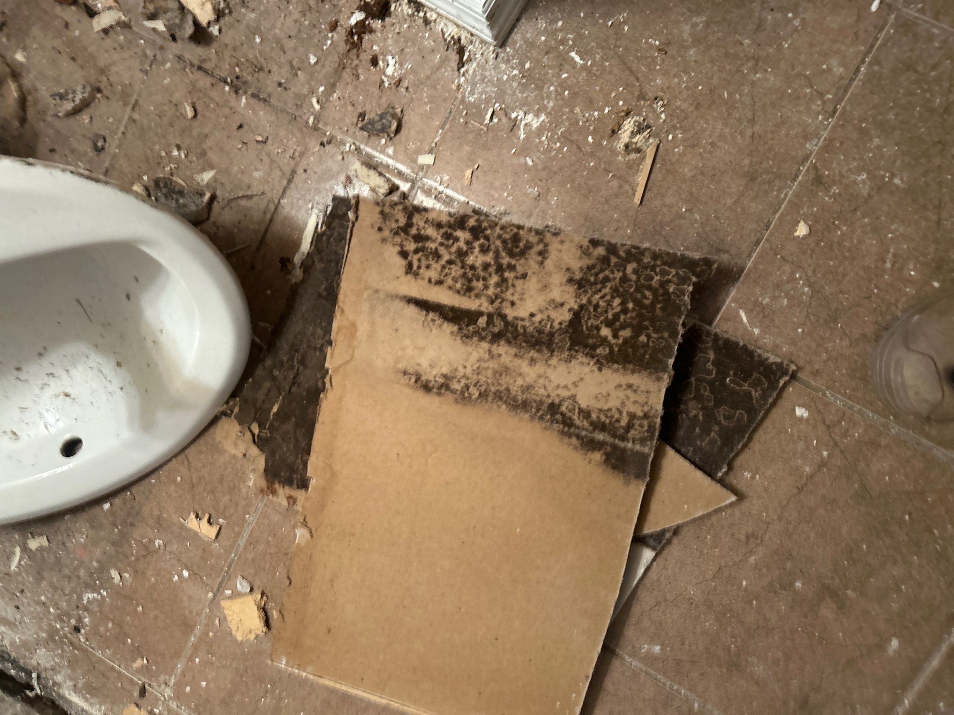 Commercial Mold Damage In Sarasota by Ampm Restoration Services