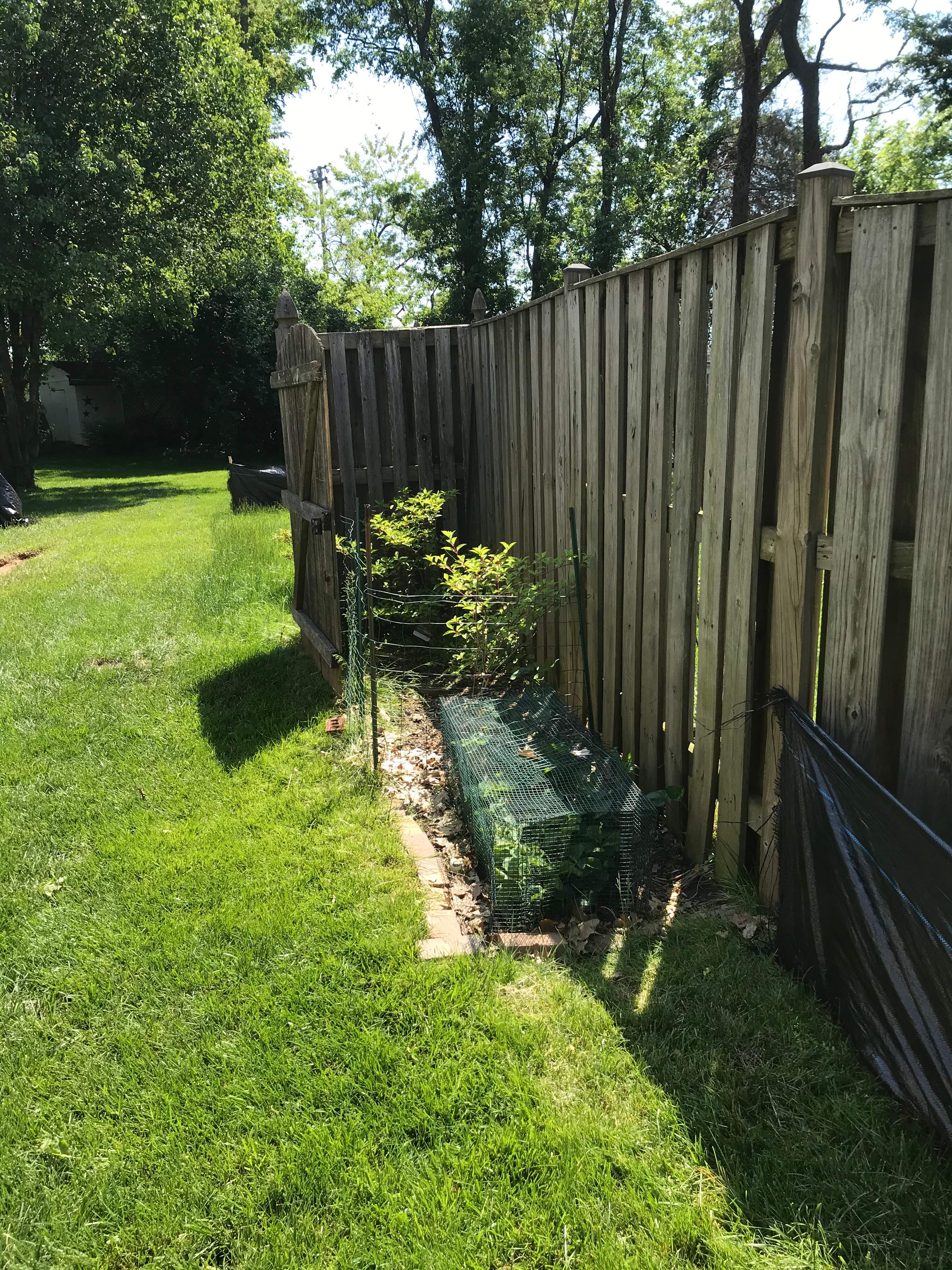 laundry and Cabana bath addition, Vienna, VA by Fairfax Contractors, LLC