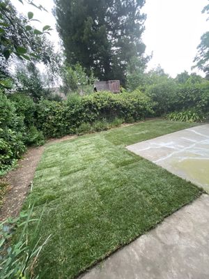 Project in Davis