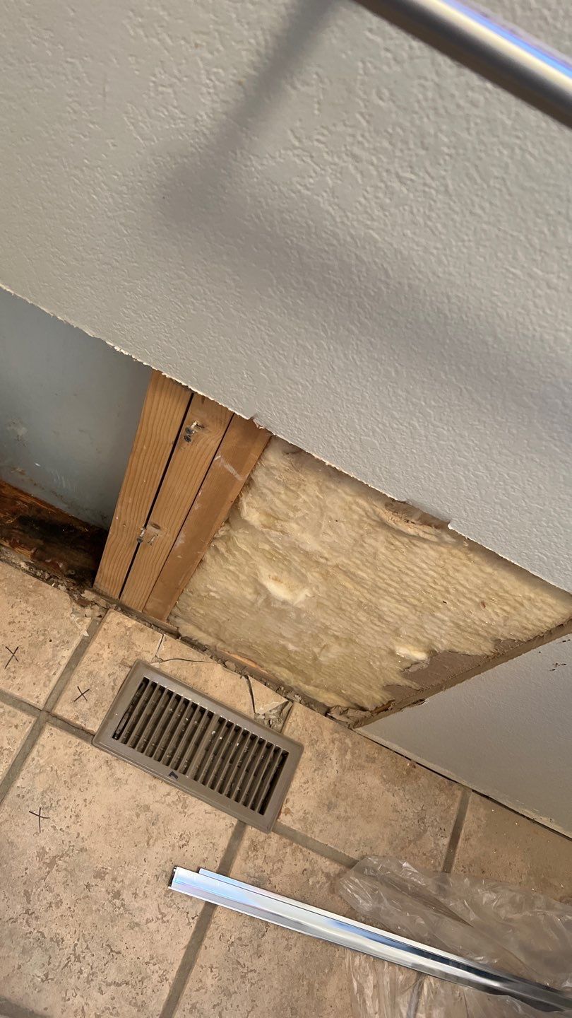 Water Damage and Mold Remediation by Accountable Home Services