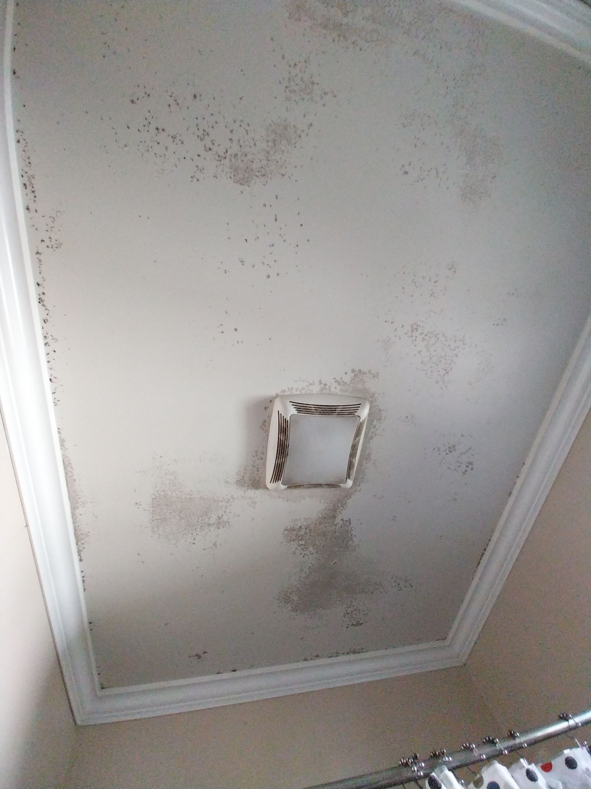 Bathroom Remodel using Sherwin Williams Premium ceiling paint by Laser Focused Solutions LLC