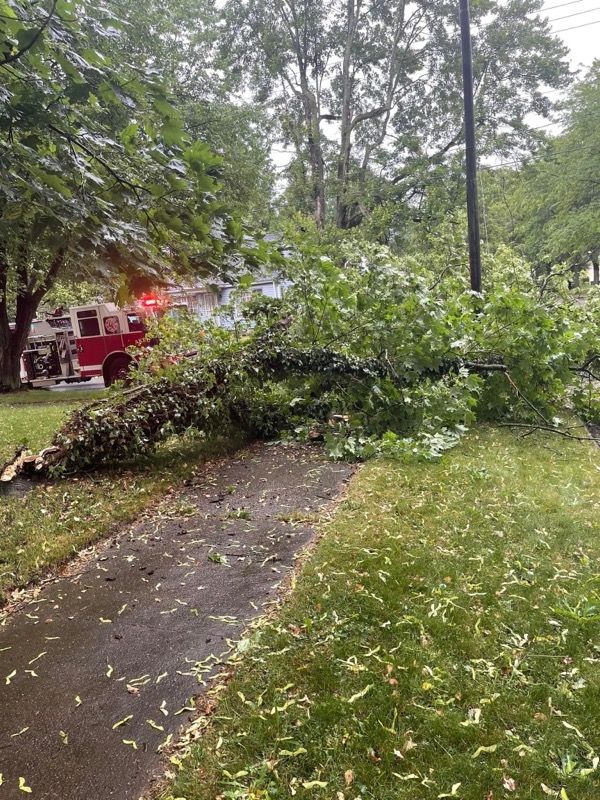 Storm Damaged Tree Removal  using Tree Removal by Mike Jones & Sons Tree Service LLC 