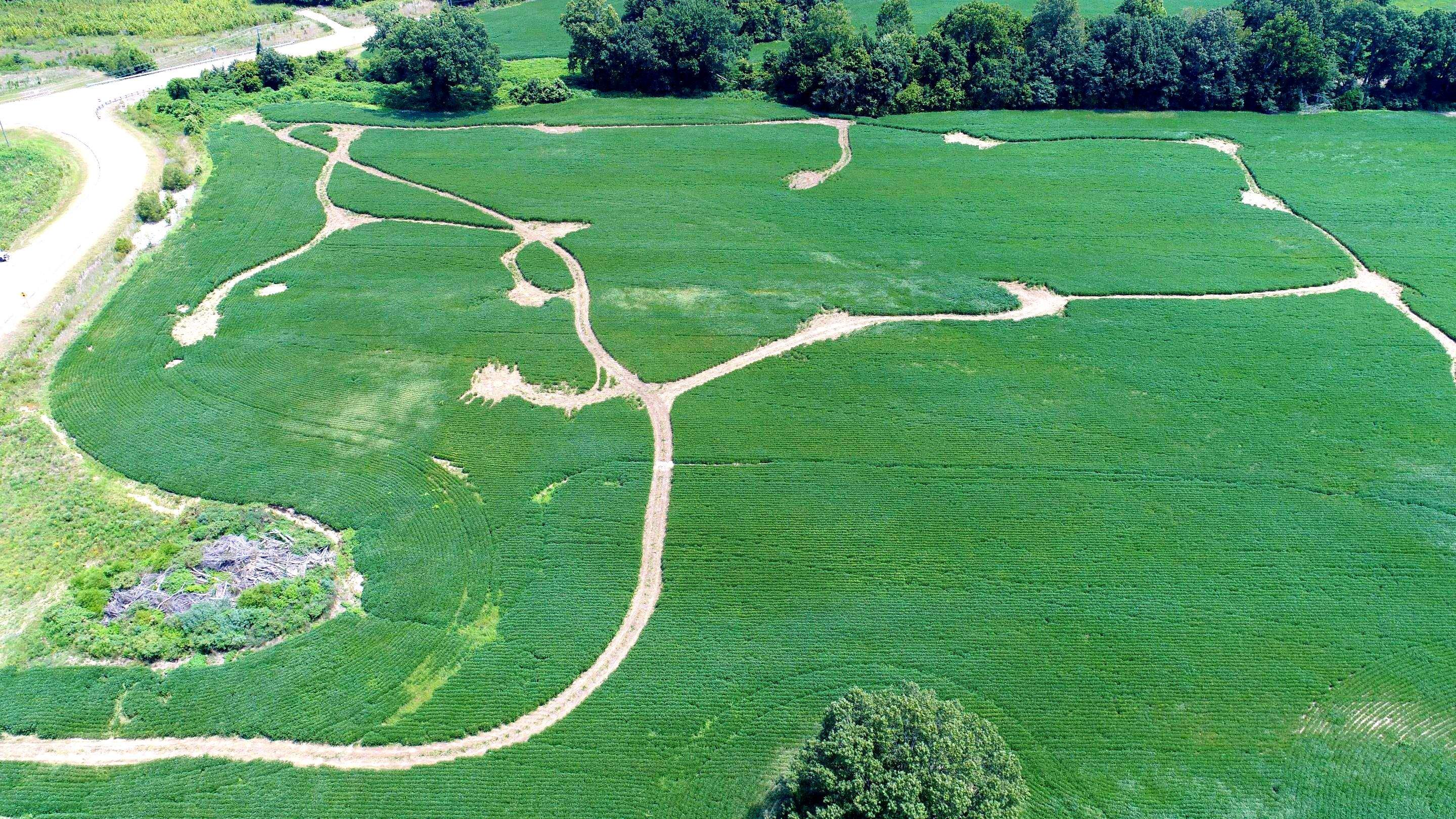 Drone Footage using Ground Penetrating Radar, Electromagnetic Locating Equipment, KMZ Mapping Tools by Alsip Locating Service, LLC