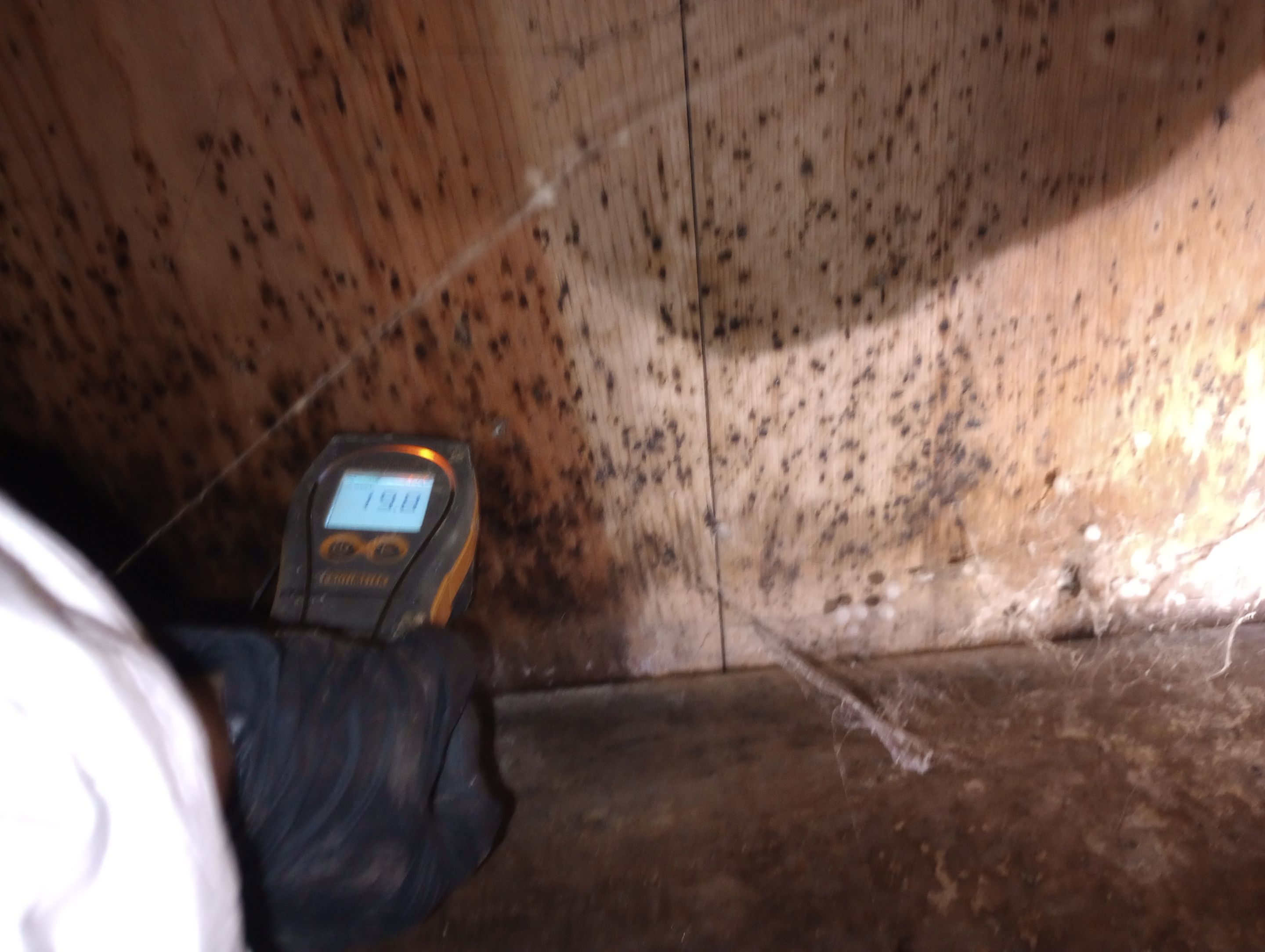 Mold Remediation in Bedroom  by ANR Restoration