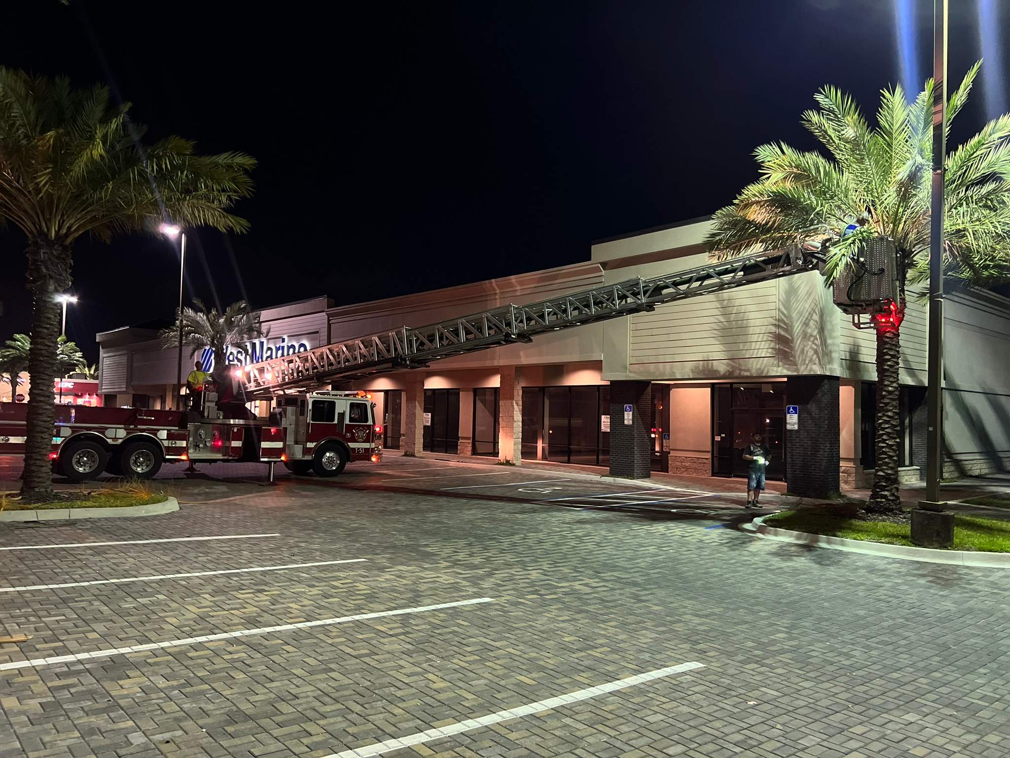 Tree Trimming | Roosevelt Square by ProGreen Services