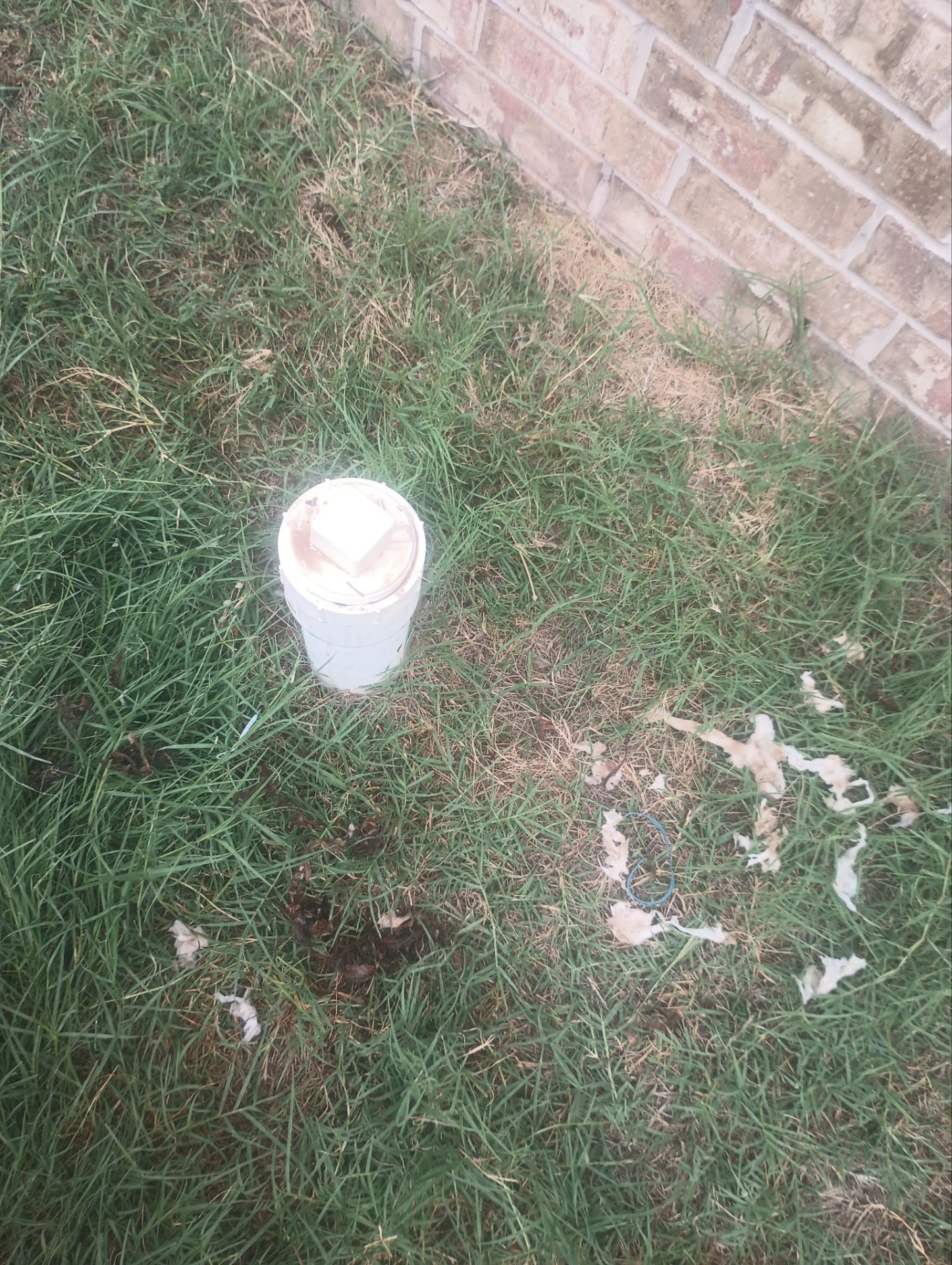 Project in Norman by PRO-ROOTER
