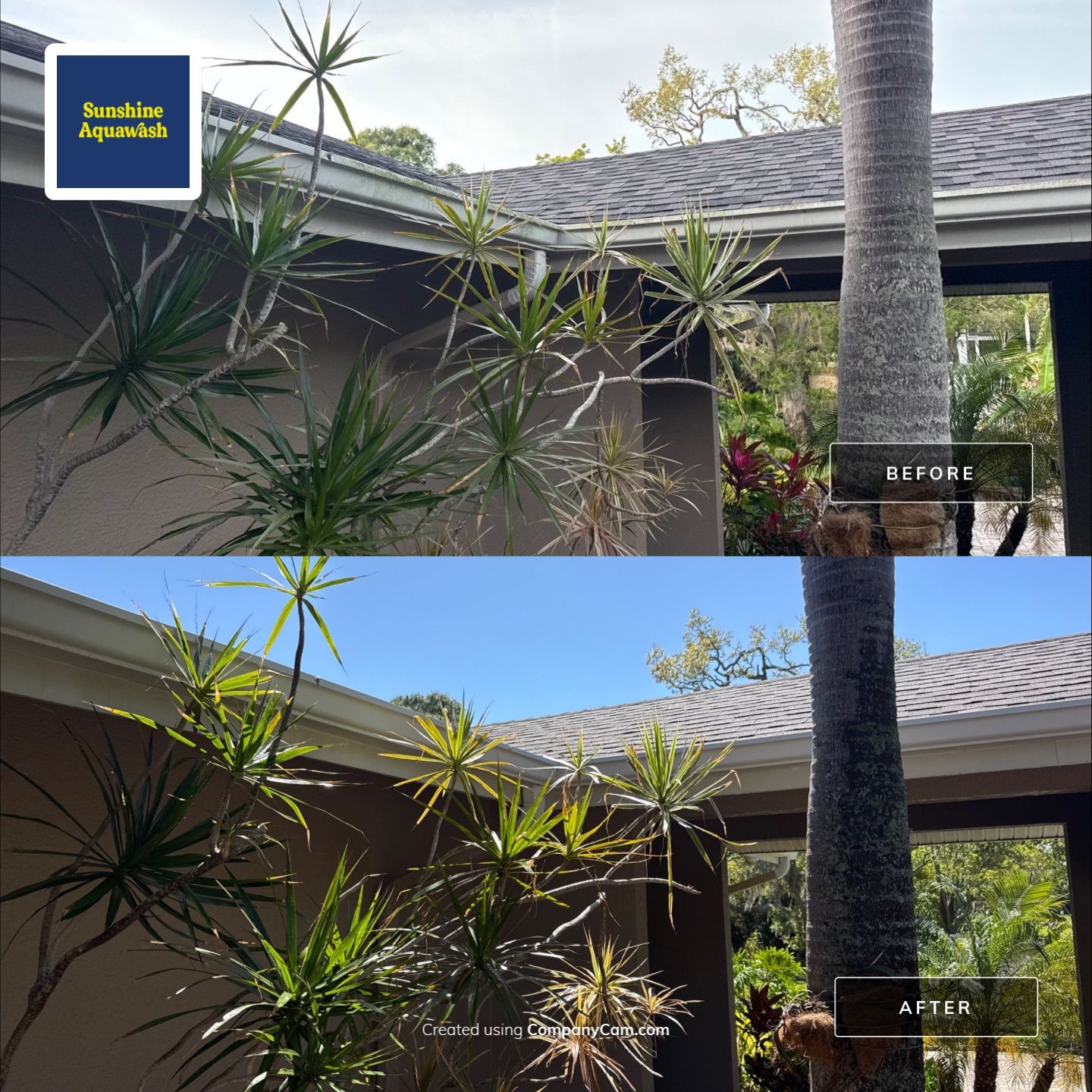 Large House Wash & Pool Cage Cleaning with Heavy Mud Dauber Nest Removal – Bradenton, FL 34209 by Sunshine AquaWash