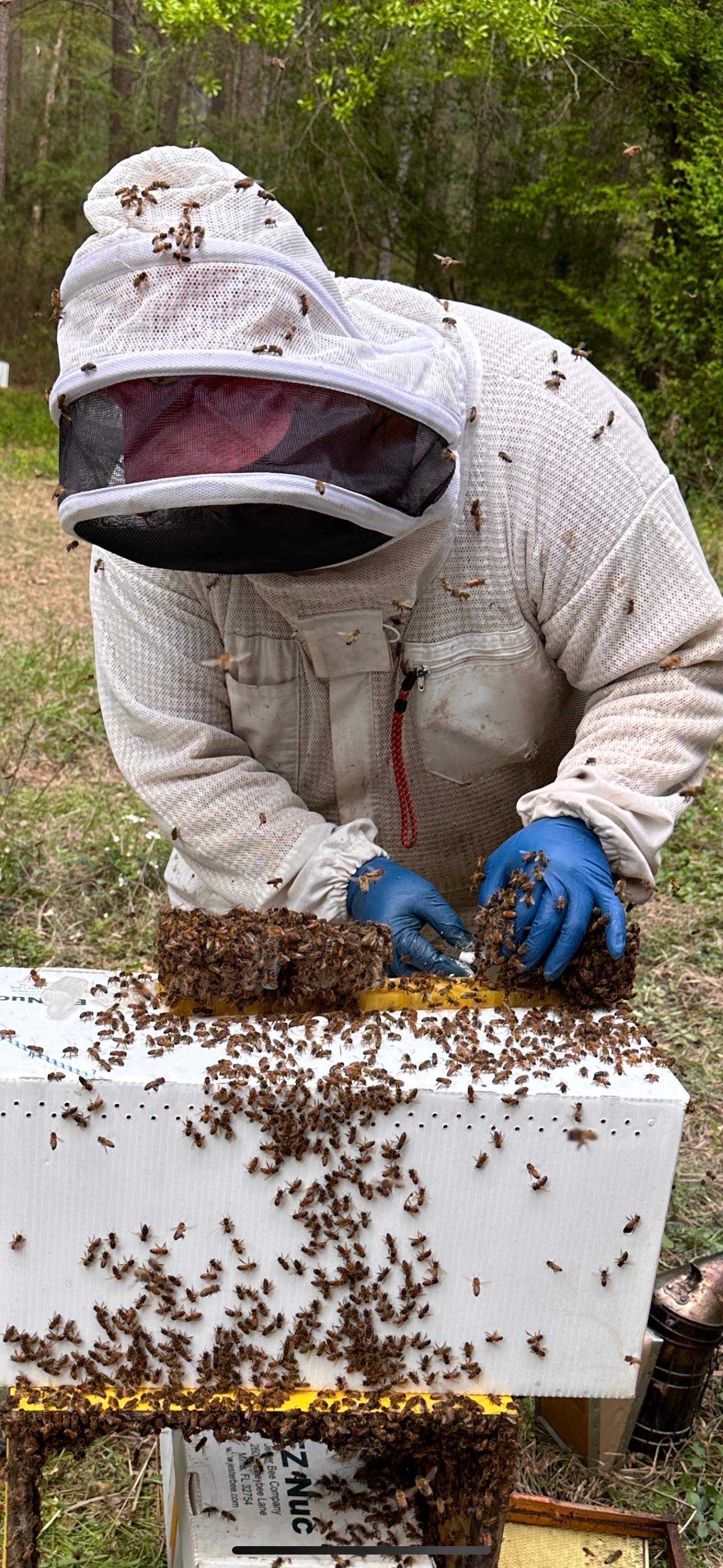 Tree Farm Apiary by Rockwall Honey Bee Company
