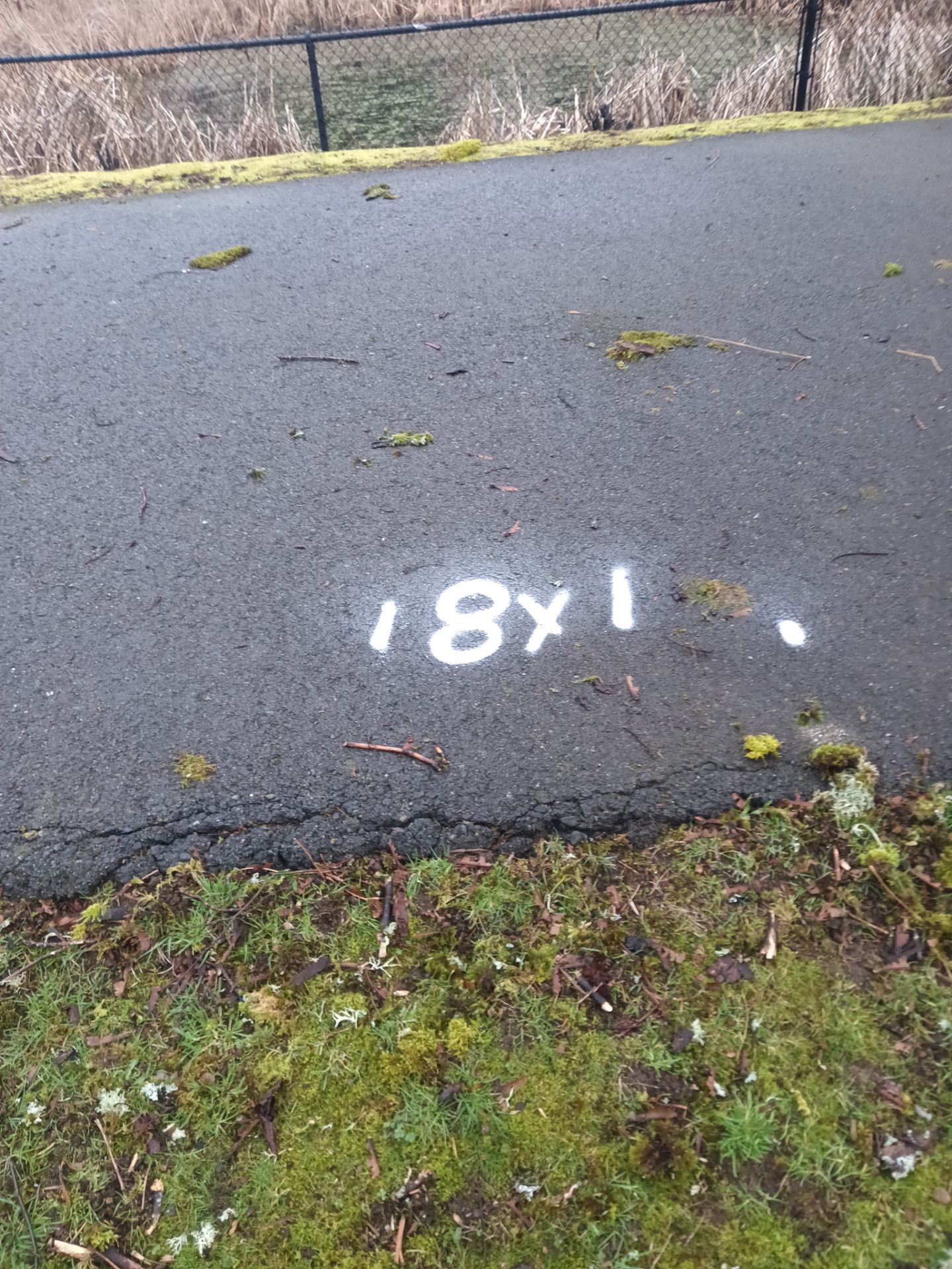 Asphalt Patch Repair | Auburn  by Jireh Asphalt & Concrete Inc 