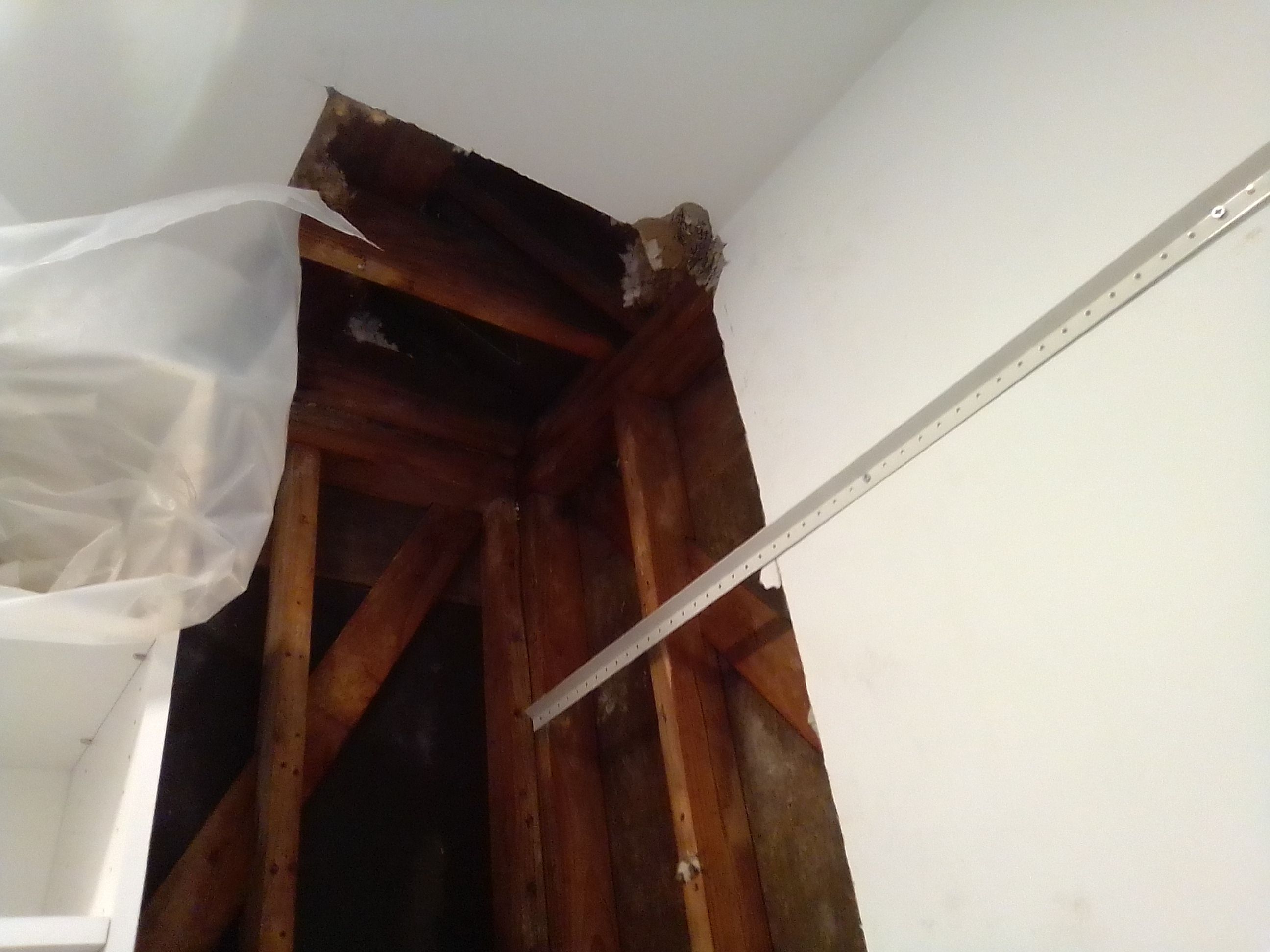 Small Mold Remediation in Louisville, KY by ANR Restoration
