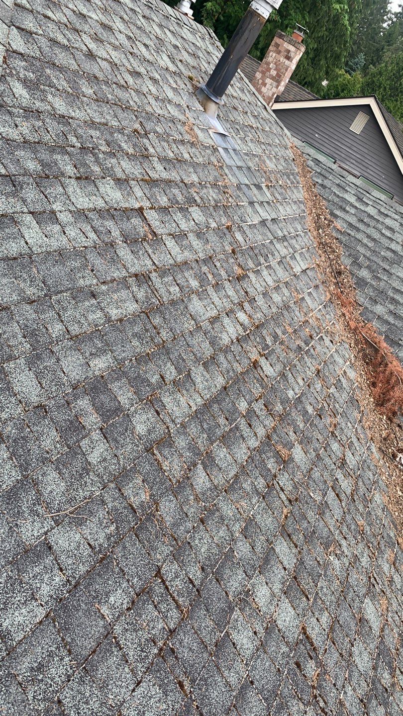 Softwashed in many Years back, and organic regrowth significant by DawnSky LLC