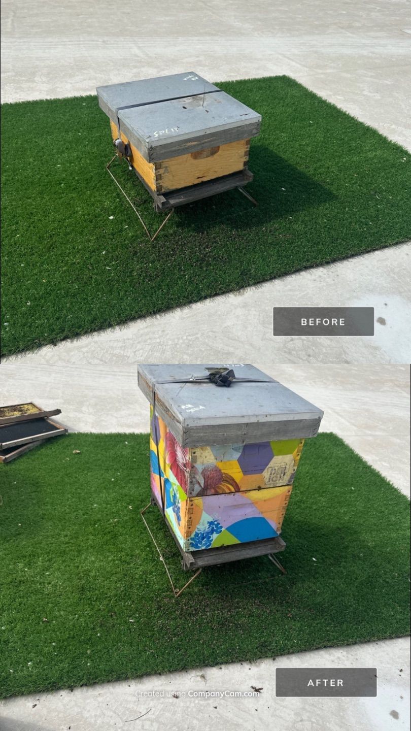 Downtown Dallas by Rockwall Honey Bee Company