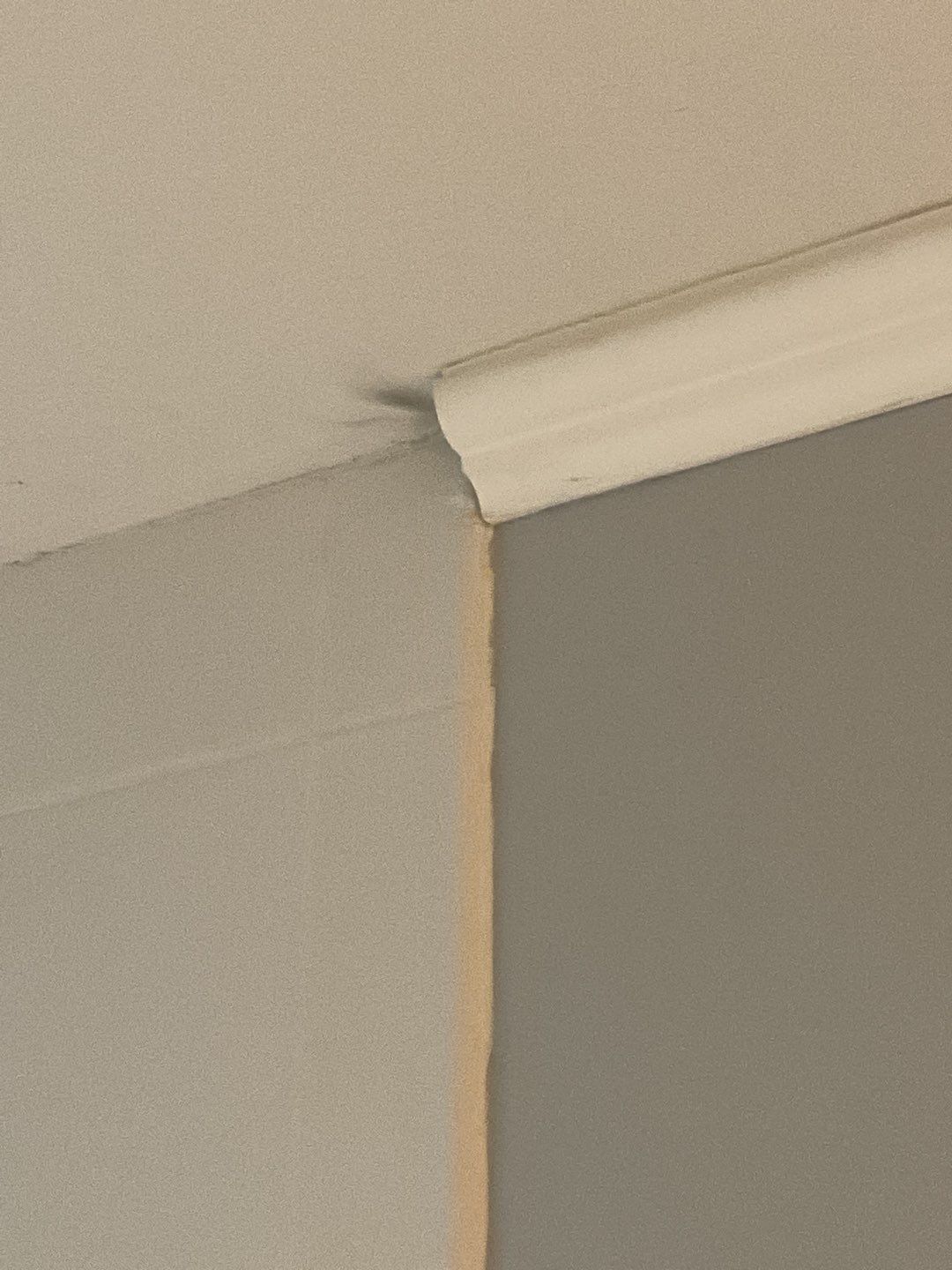 Quick and clean by The Shower Company